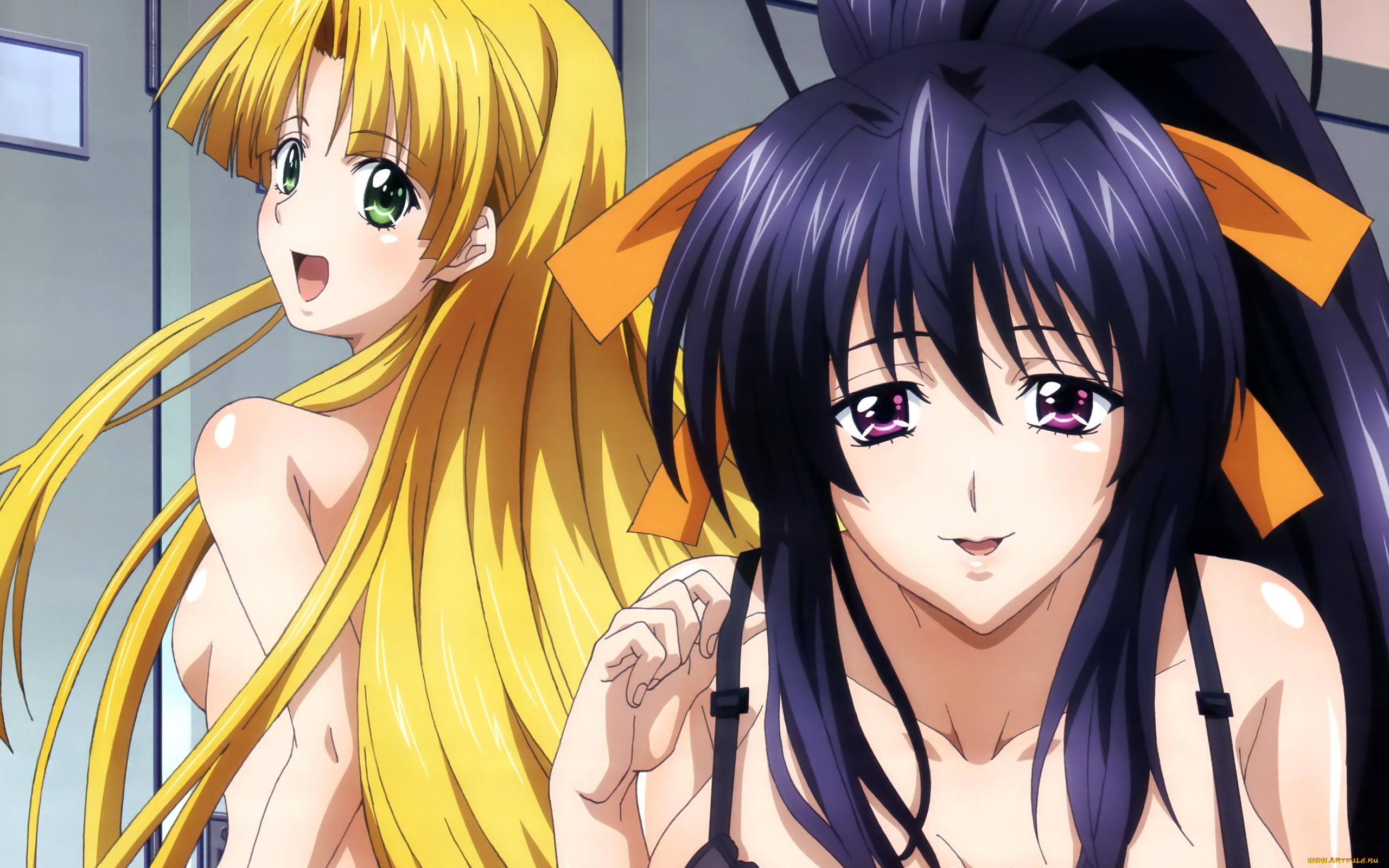 аниме, highschool, dxd