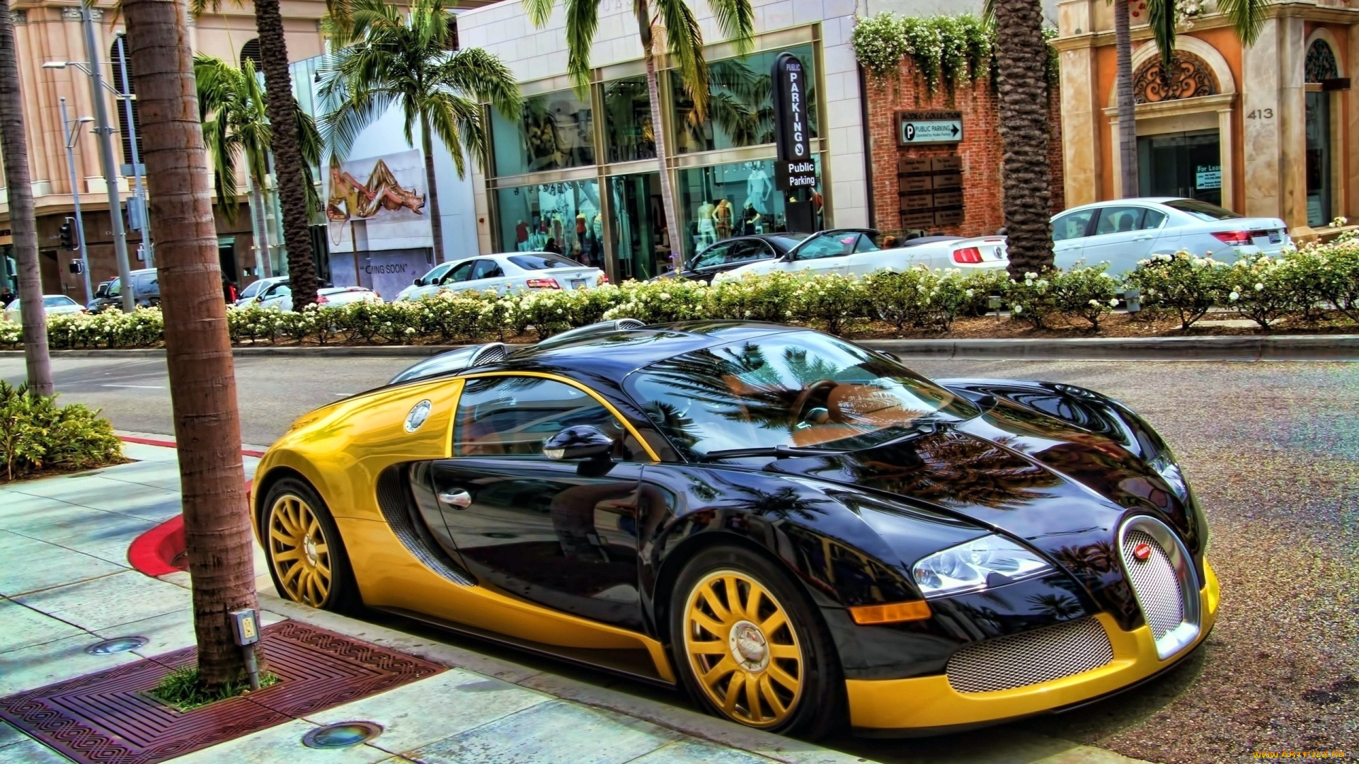 bugatti, veyron, автомобили, выставки, уличные, фото, automobiles, s, a, спортивные, класс-люкс, франция