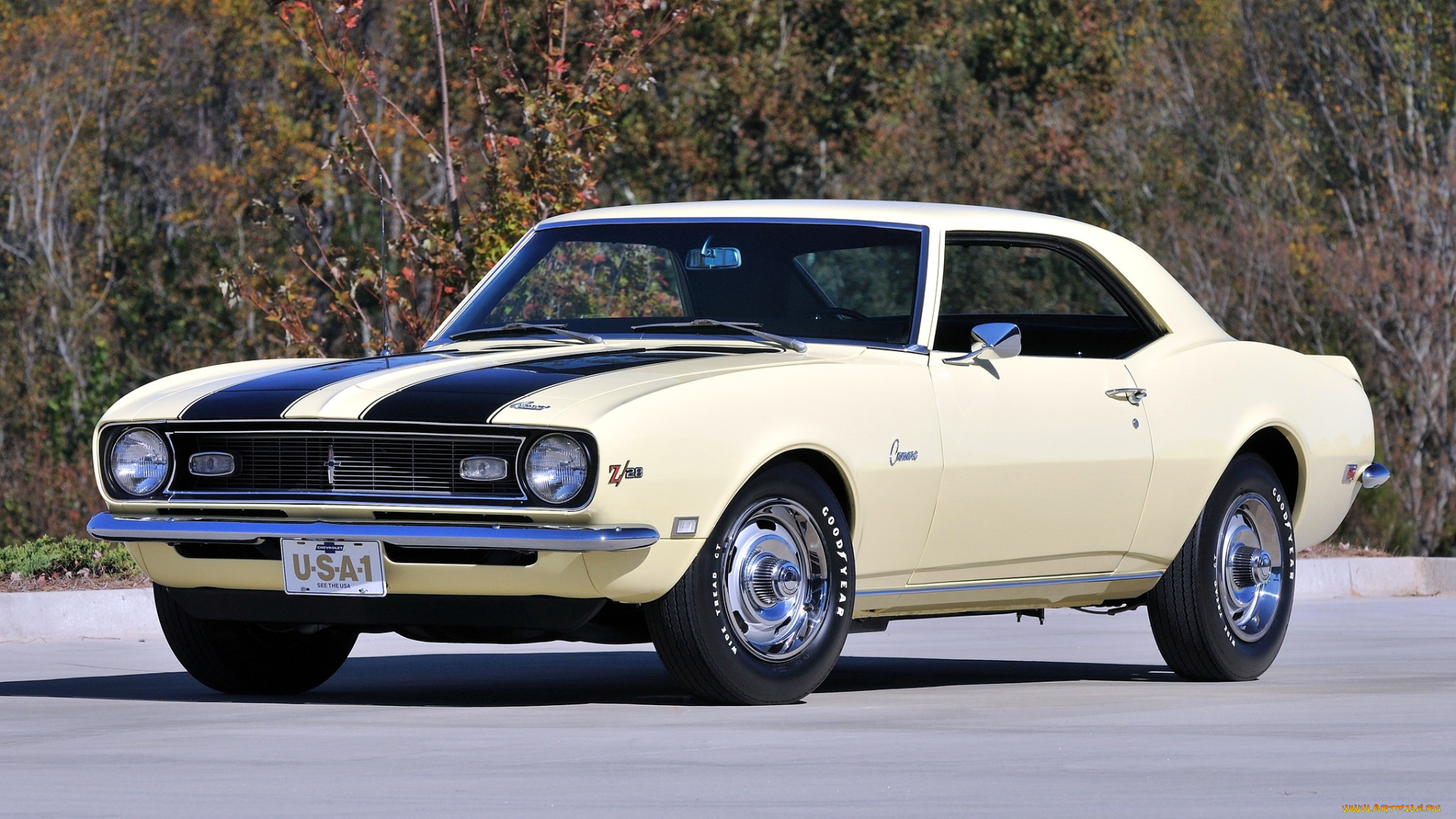 chevrolet, camaro, автомобили, gm, division, сша