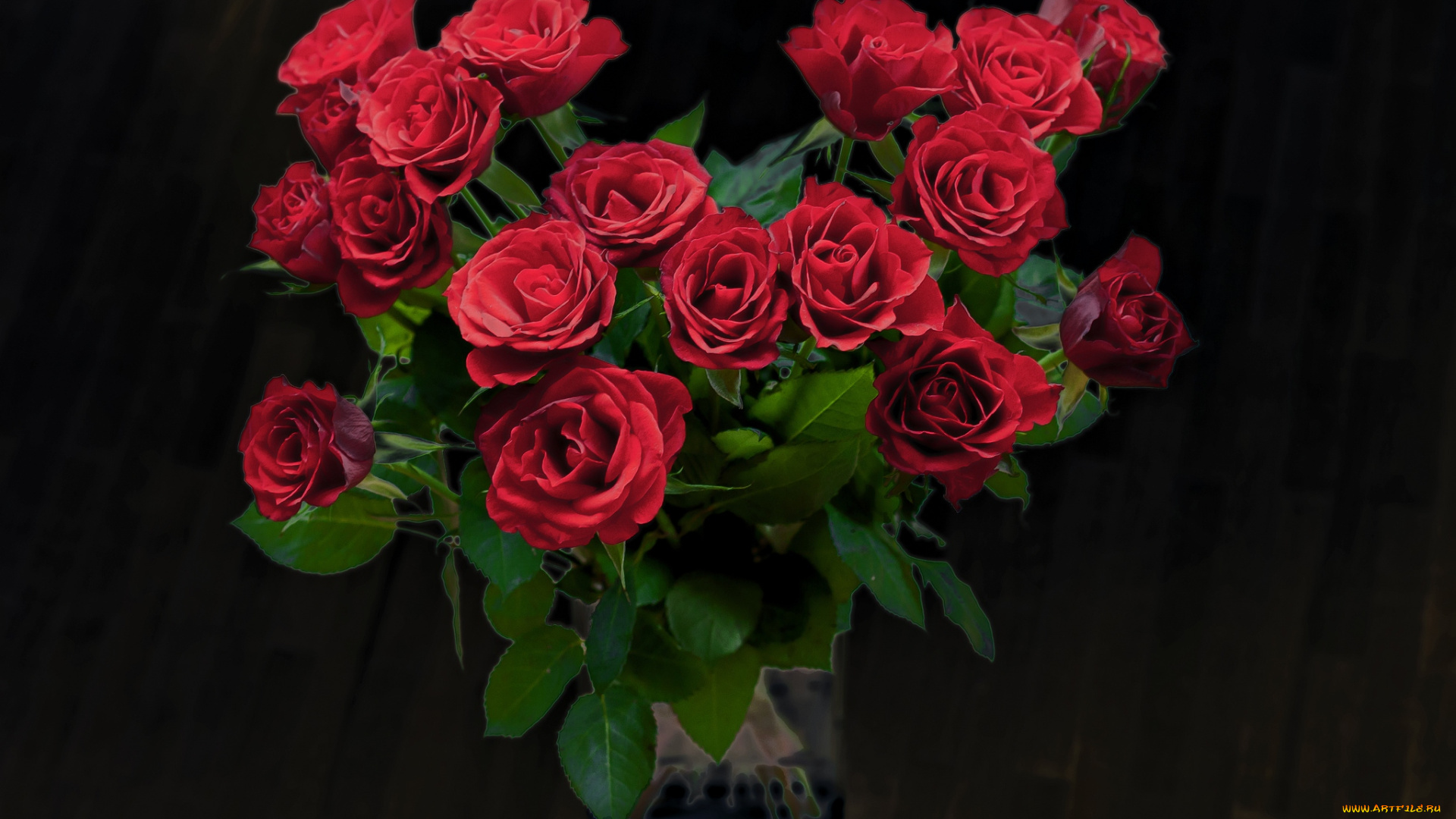 цветы, розы, букет