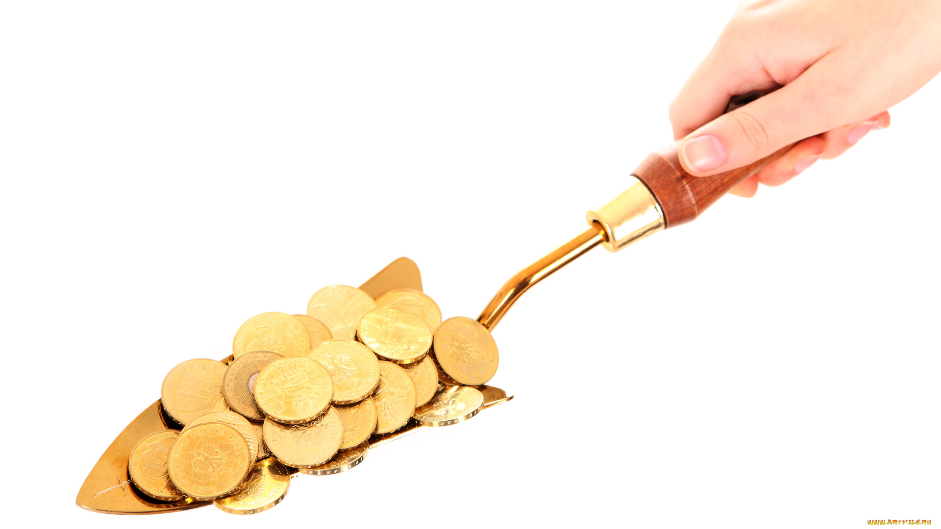 разное, золото, купюры, монеты, деньги, лопатка