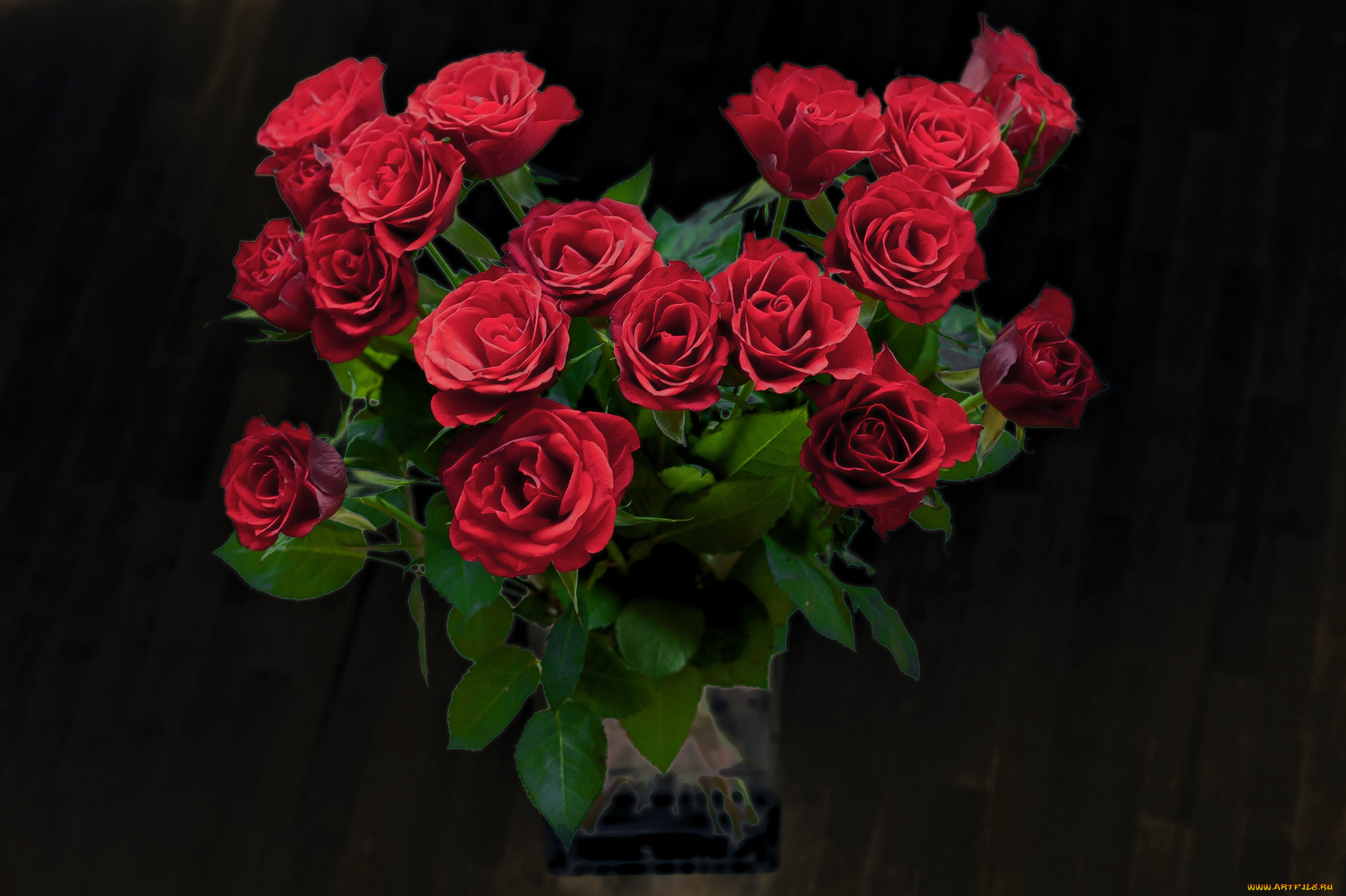 цветы, розы, букет