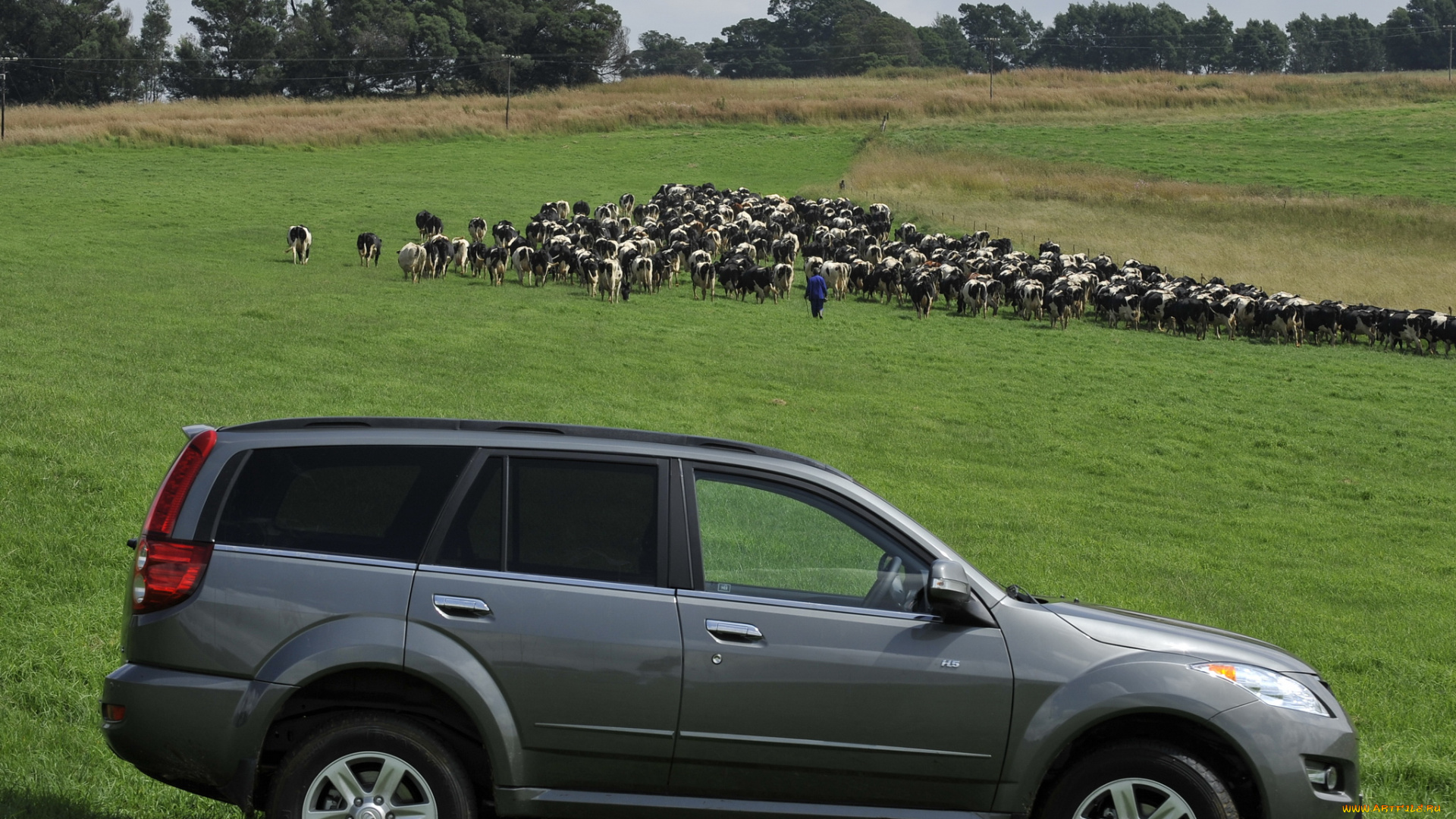 автомобили, -unsort, h5, gwm