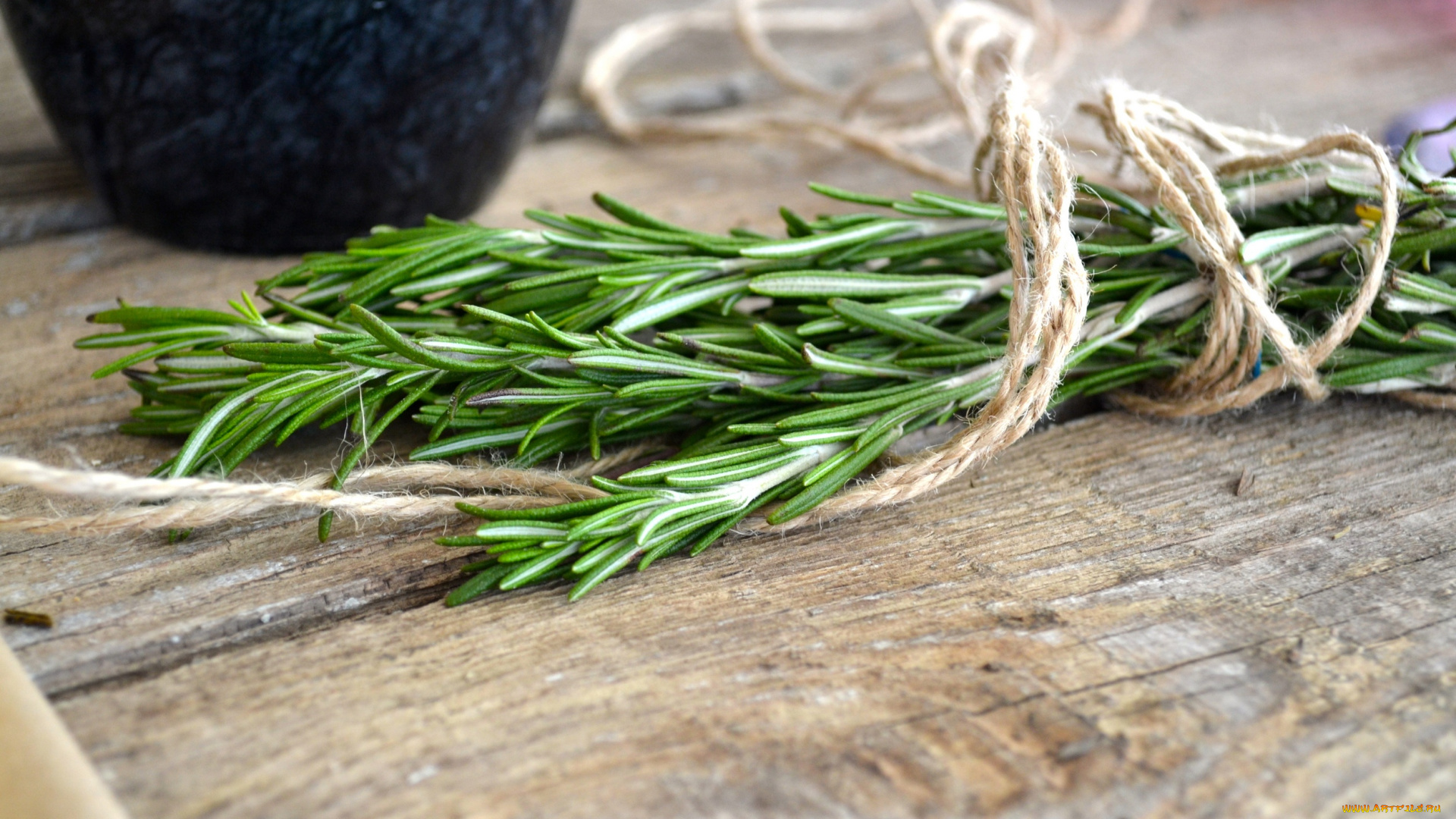еда, разное, розмарин, зелень