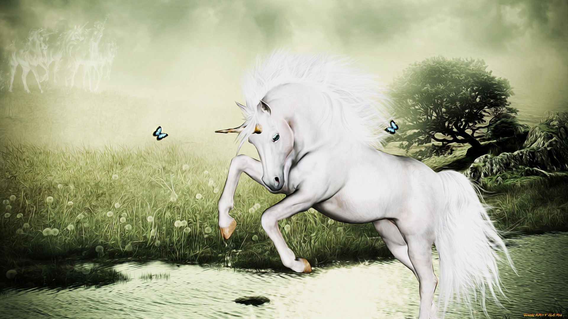 фэнтези, фотоарт, вода, рог