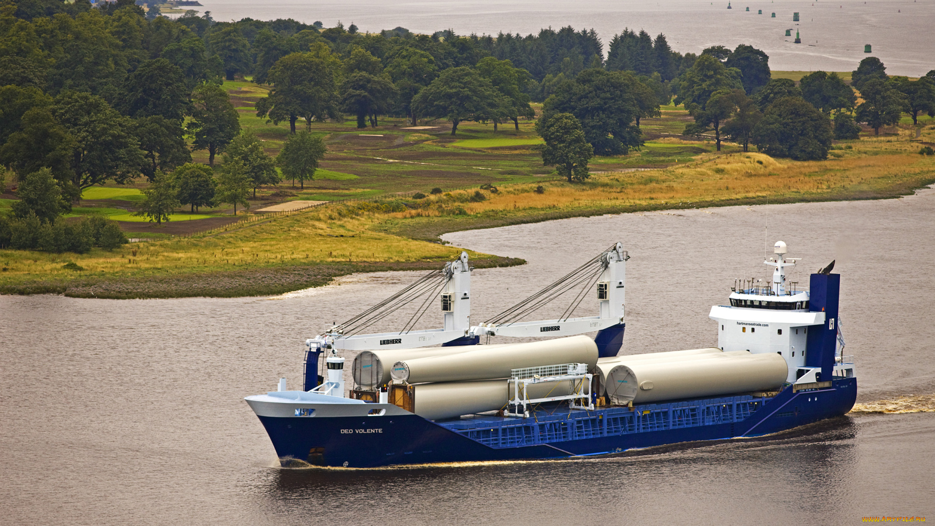 корабли, грузовые, суда