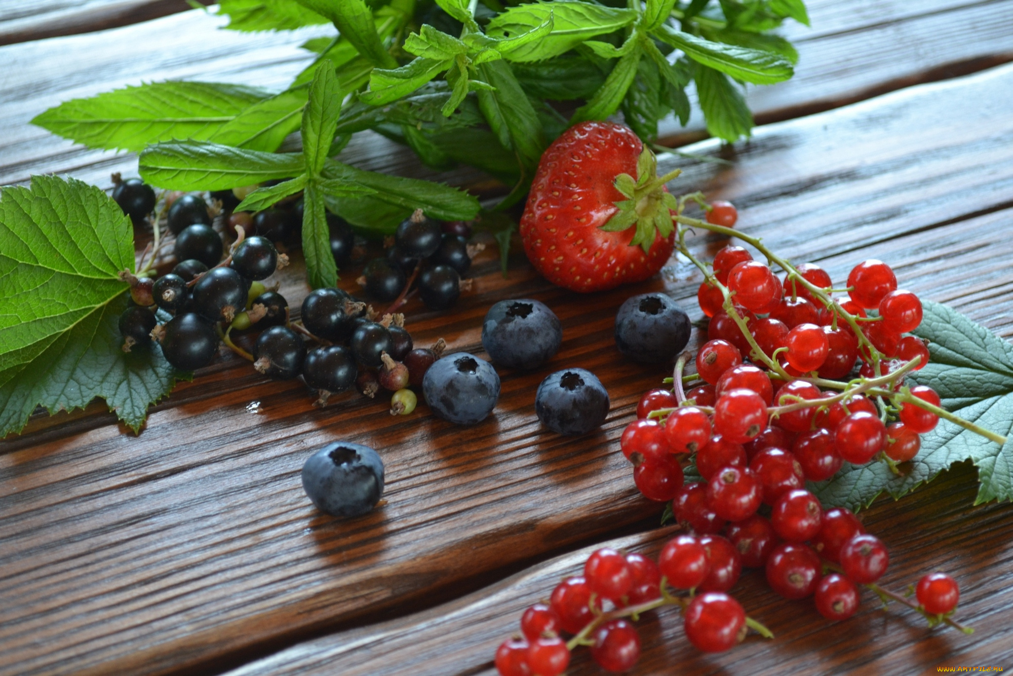 еда, фрукты, , ягоды, листья, ягоды, красная, смородина, черника, черная, клубника