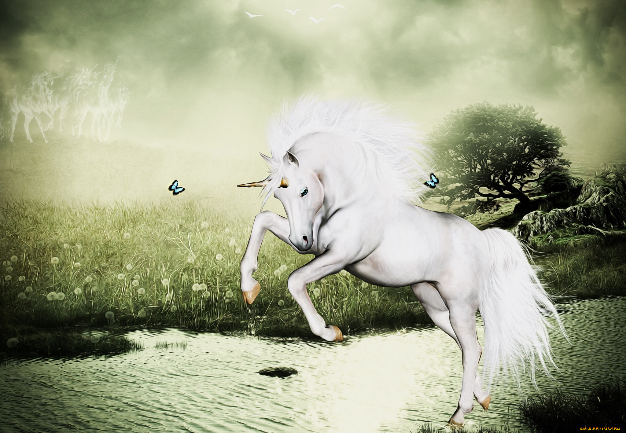 фэнтези, фотоарт, вода, рог