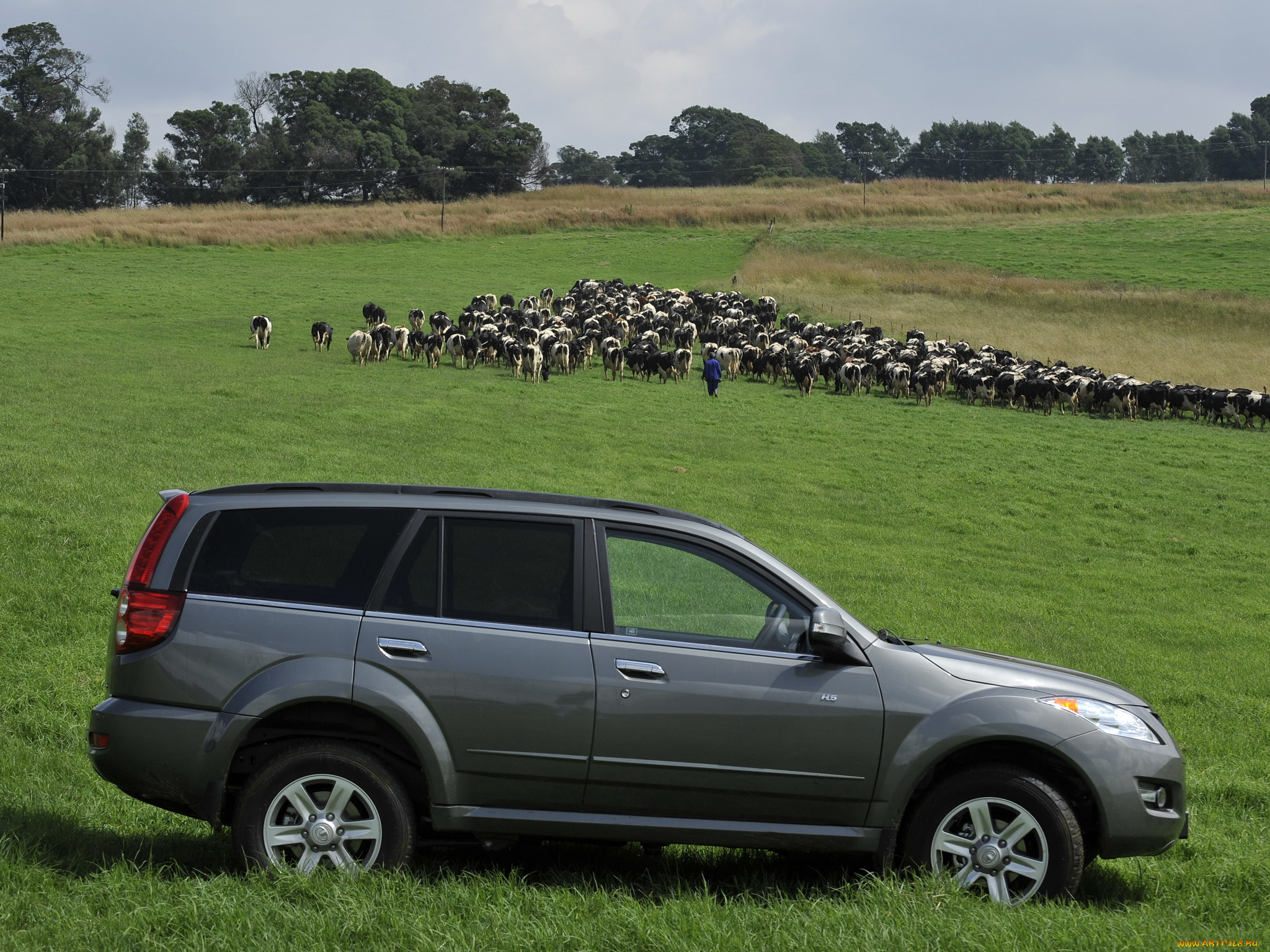 автомобили, -unsort, h5, gwm