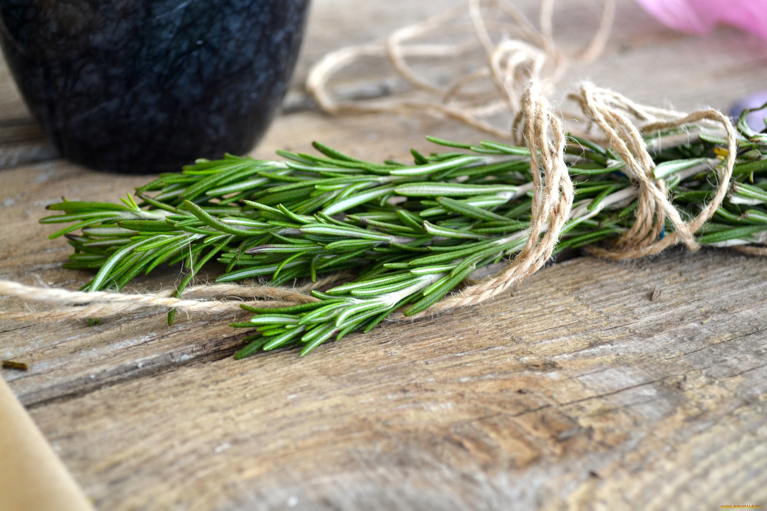 еда, разное, розмарин, зелень
