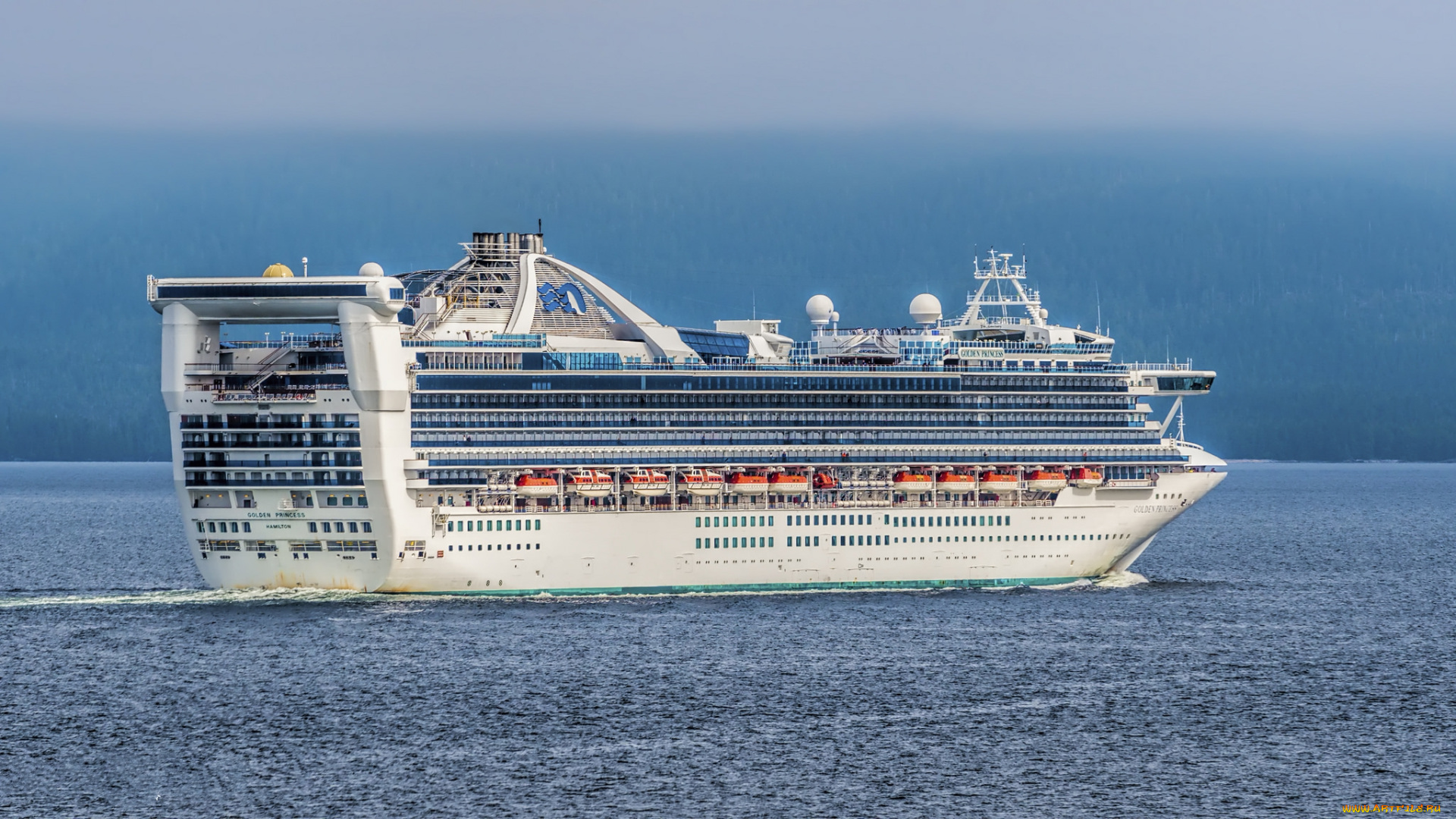 golden, princess, корабли, лайнеры, лайнер, круизный