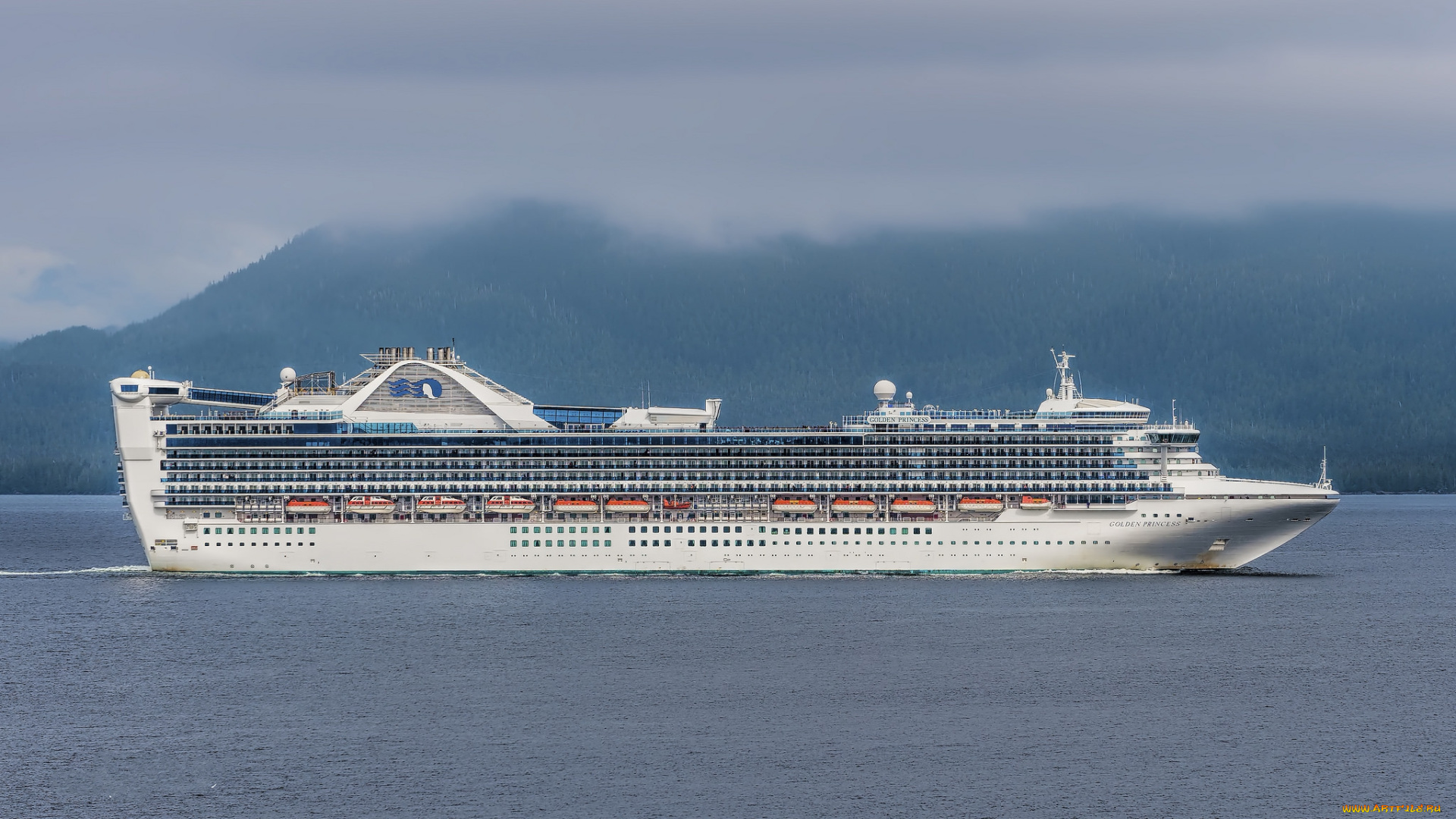 golden, princess, корабли, лайнеры, лайнер, круизный