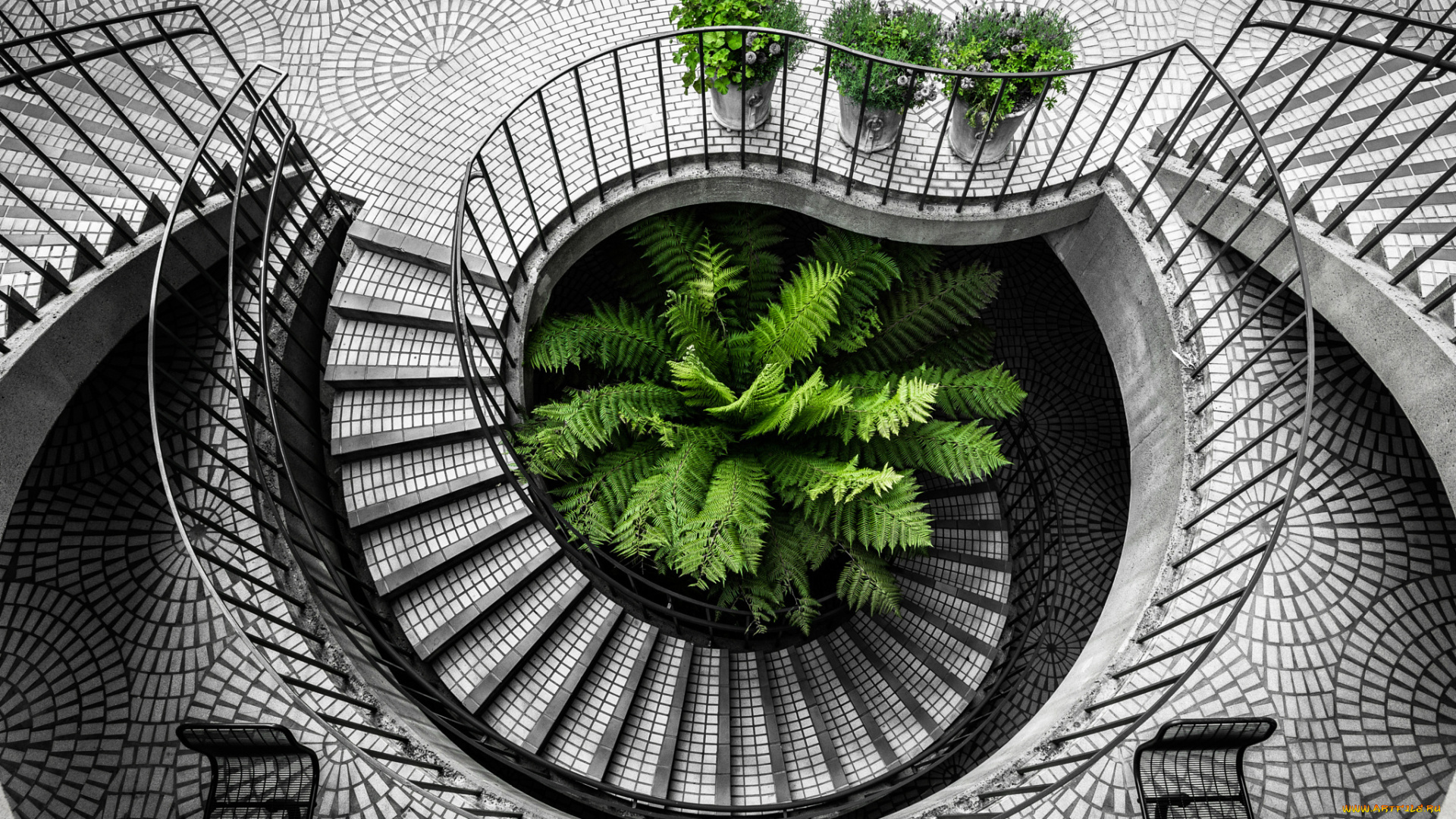 интерьер, холлы, , лестницы, , корридоры, urban, explorations, architecture, kevin, huan, stair, san, francisco, embarcadero, city, california, black, and, white, travel, staircase