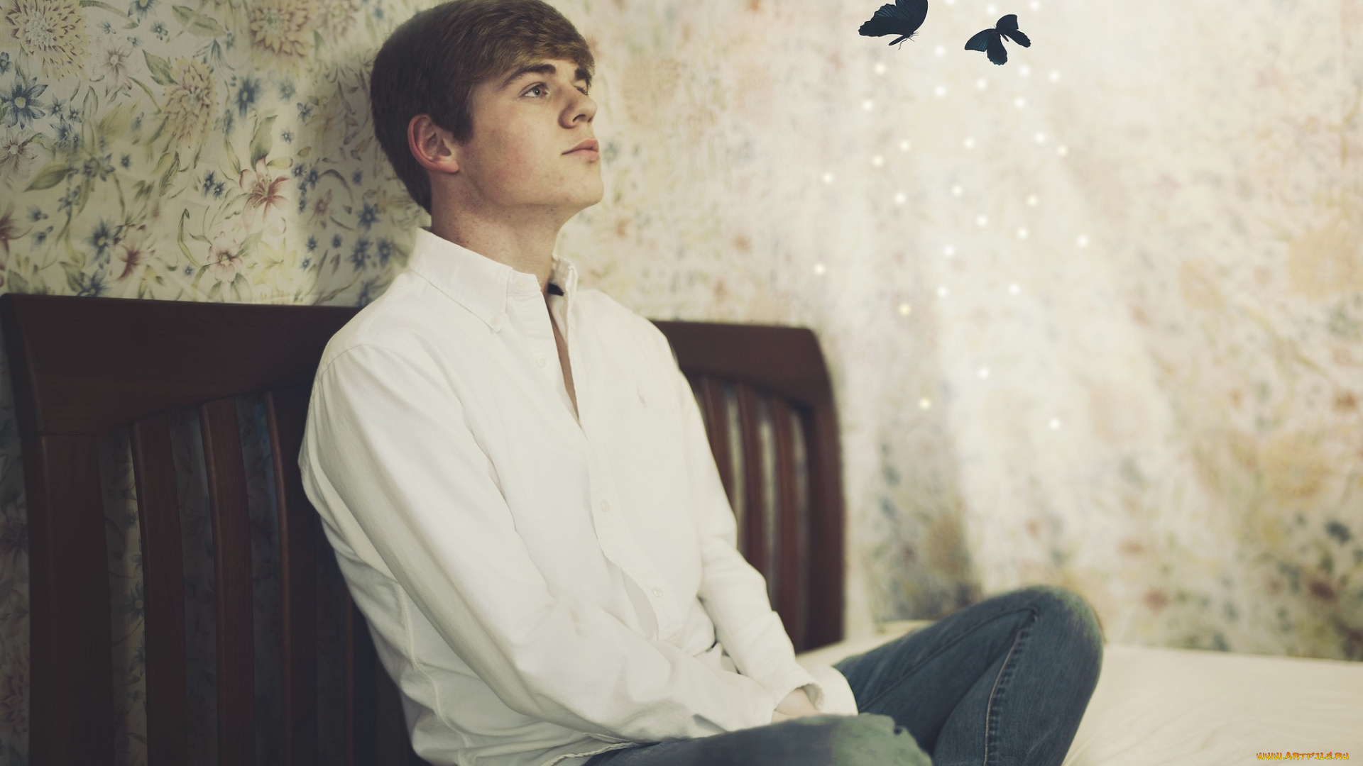 мужчины, -, unsort, кровать, комната, парень, бабочки, сидит