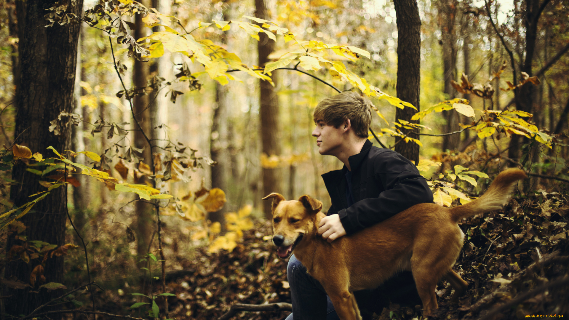 мужчины, -, unsort, лес, парень, осень