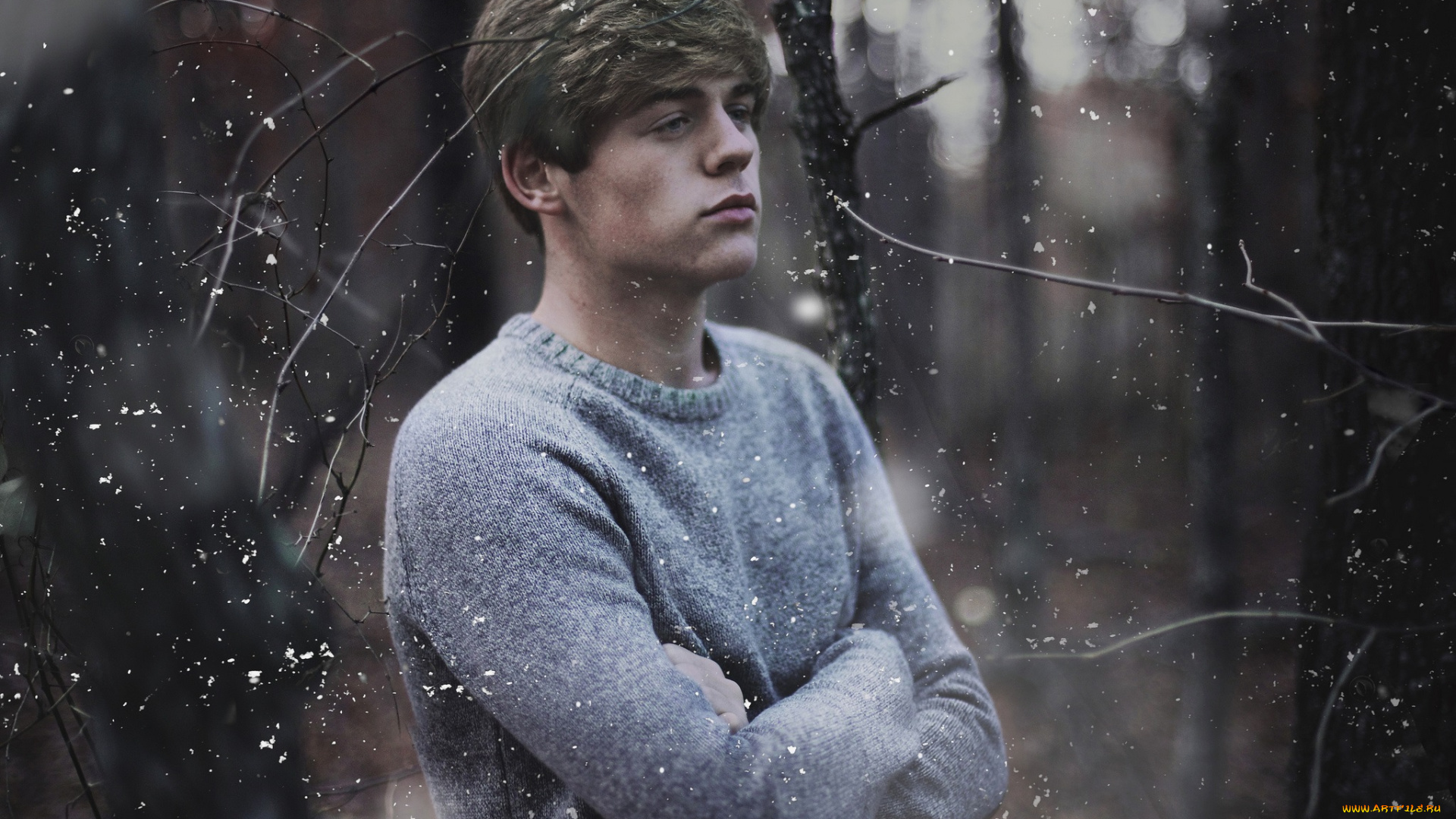 мужчины, -, unsort, парень, ветки, снежинки, лес