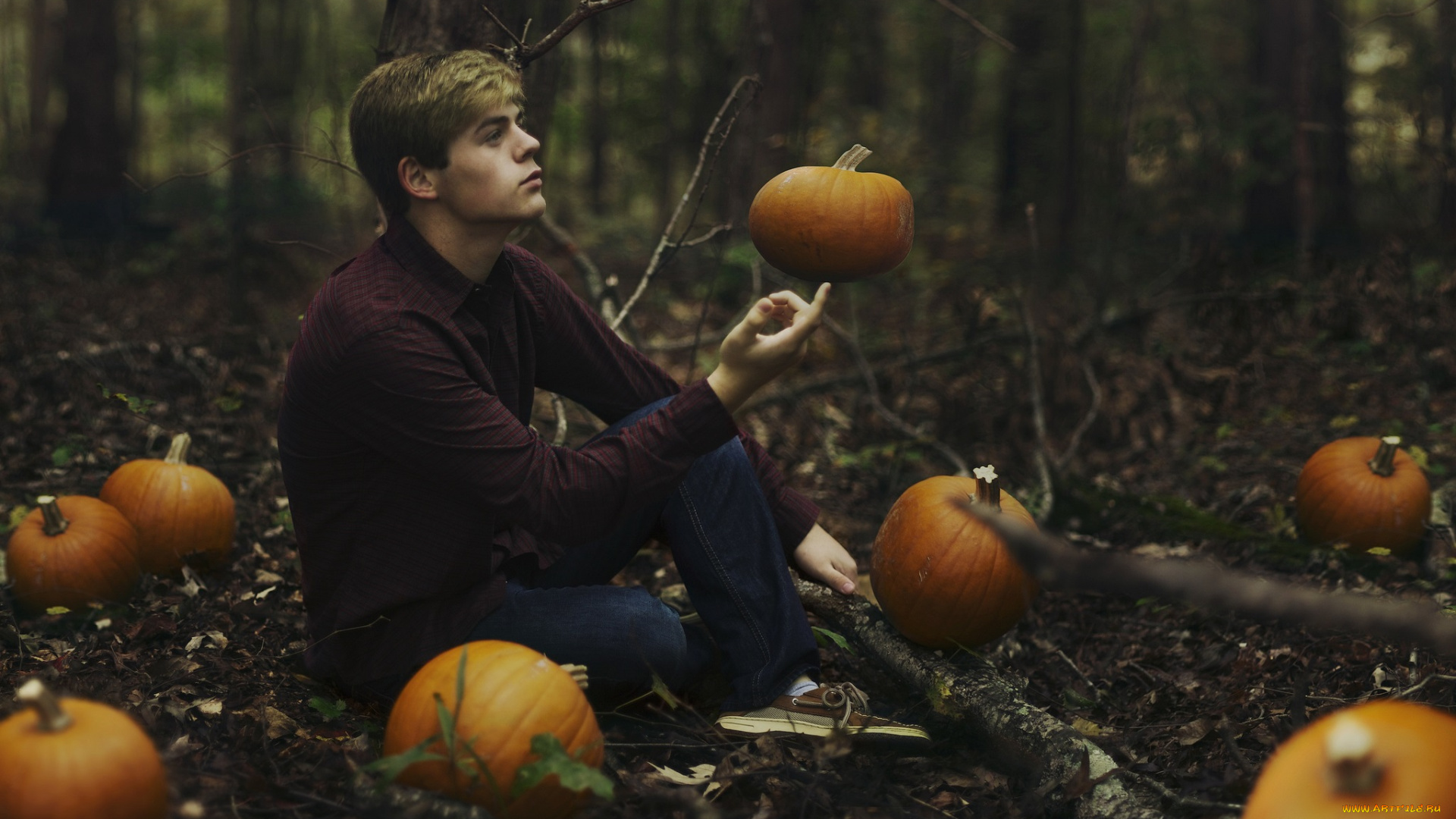 мужчины, -, unsort, тыквы, парень, сидит, лес