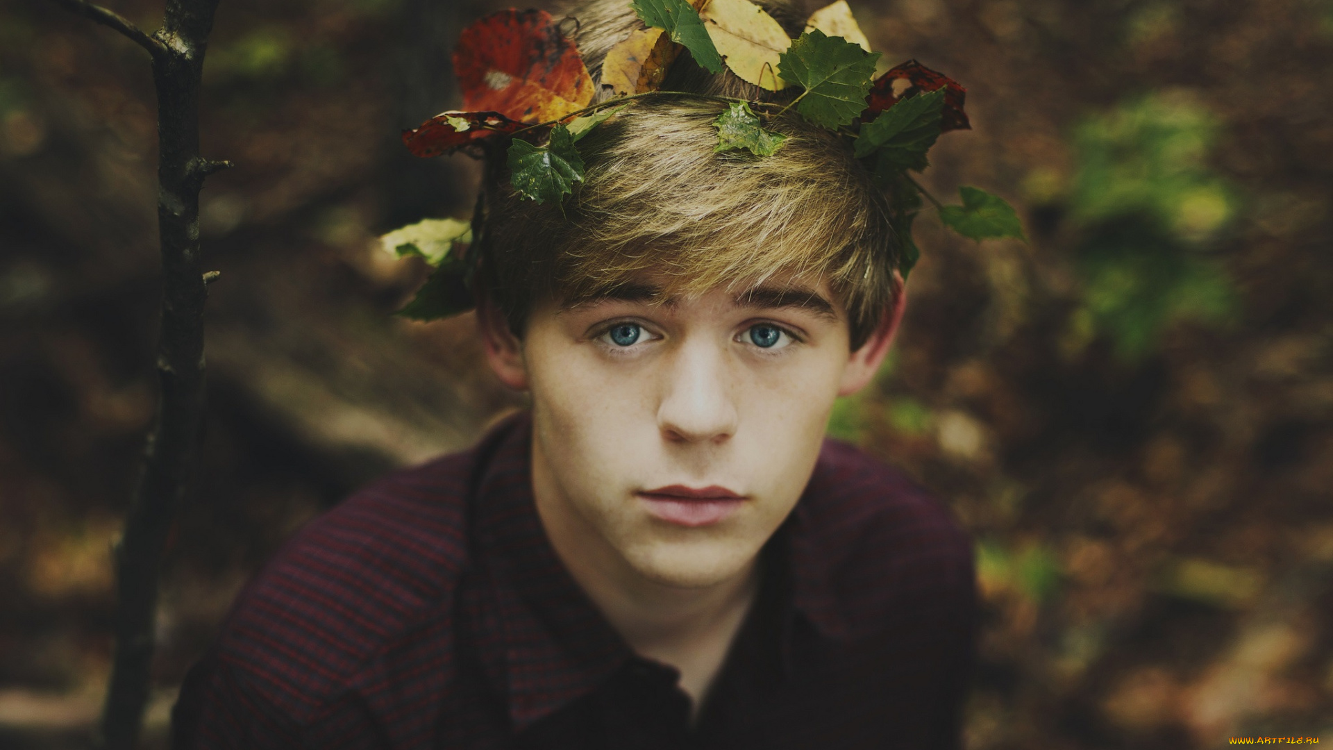 мужчины, -, unsort, венок, парень, взгляд