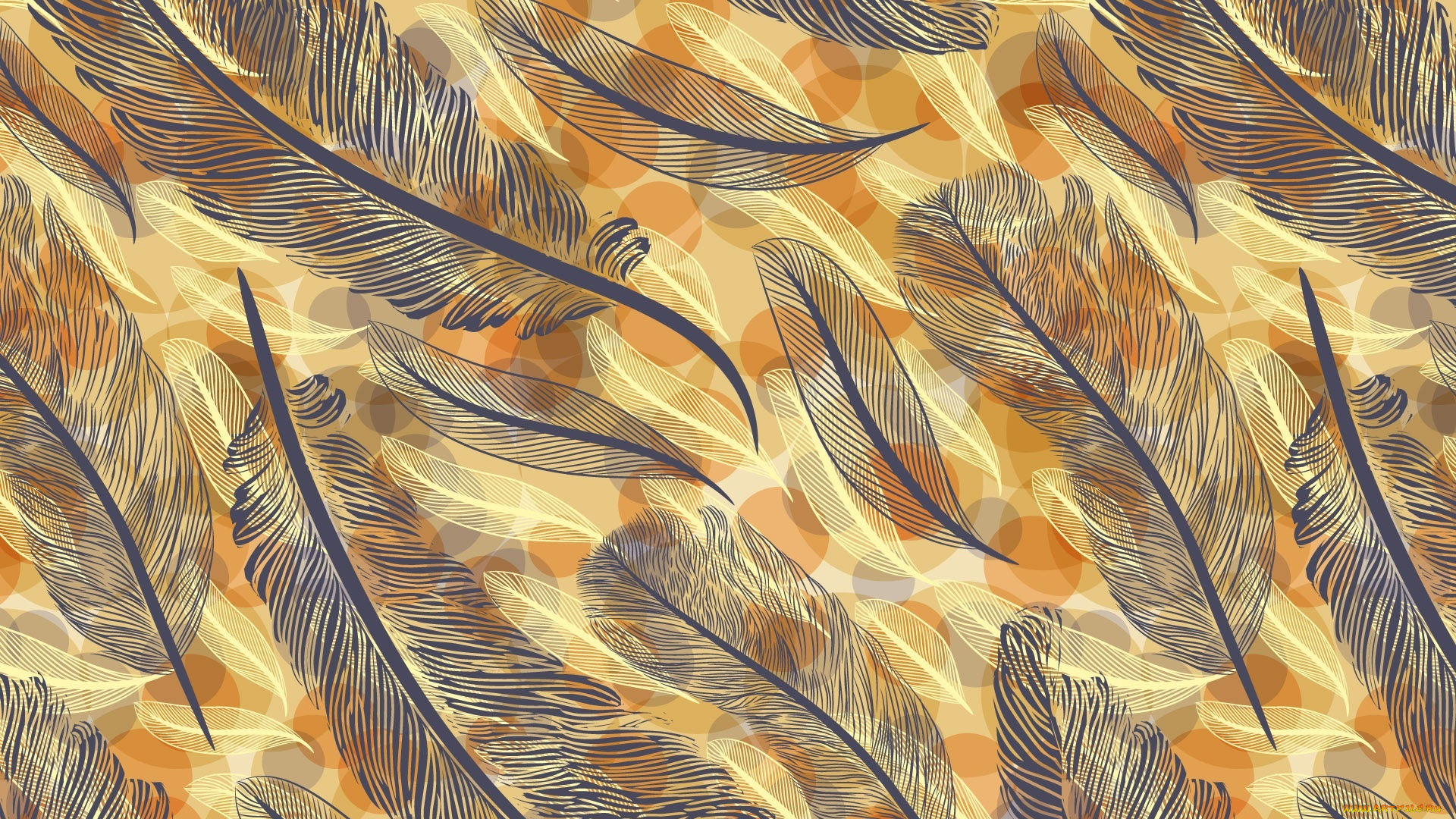 векторная, графика, другое, , other, перья, перо