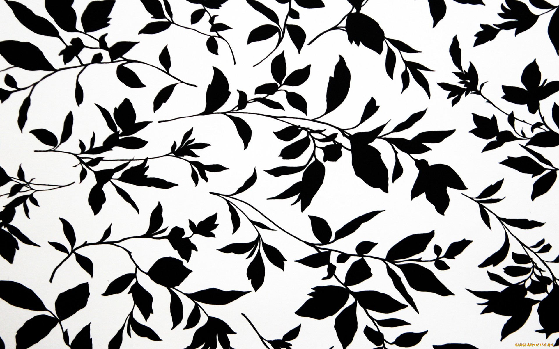 векторная, графика, природа, , nature, фон, растение