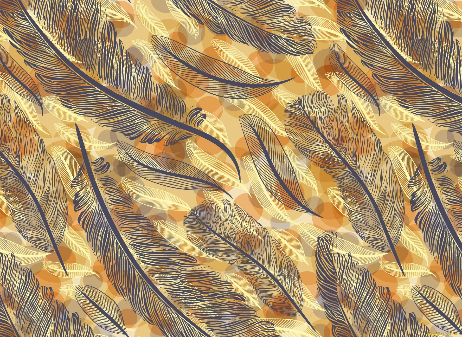 векторная, графика, другое, , other, перья, перо