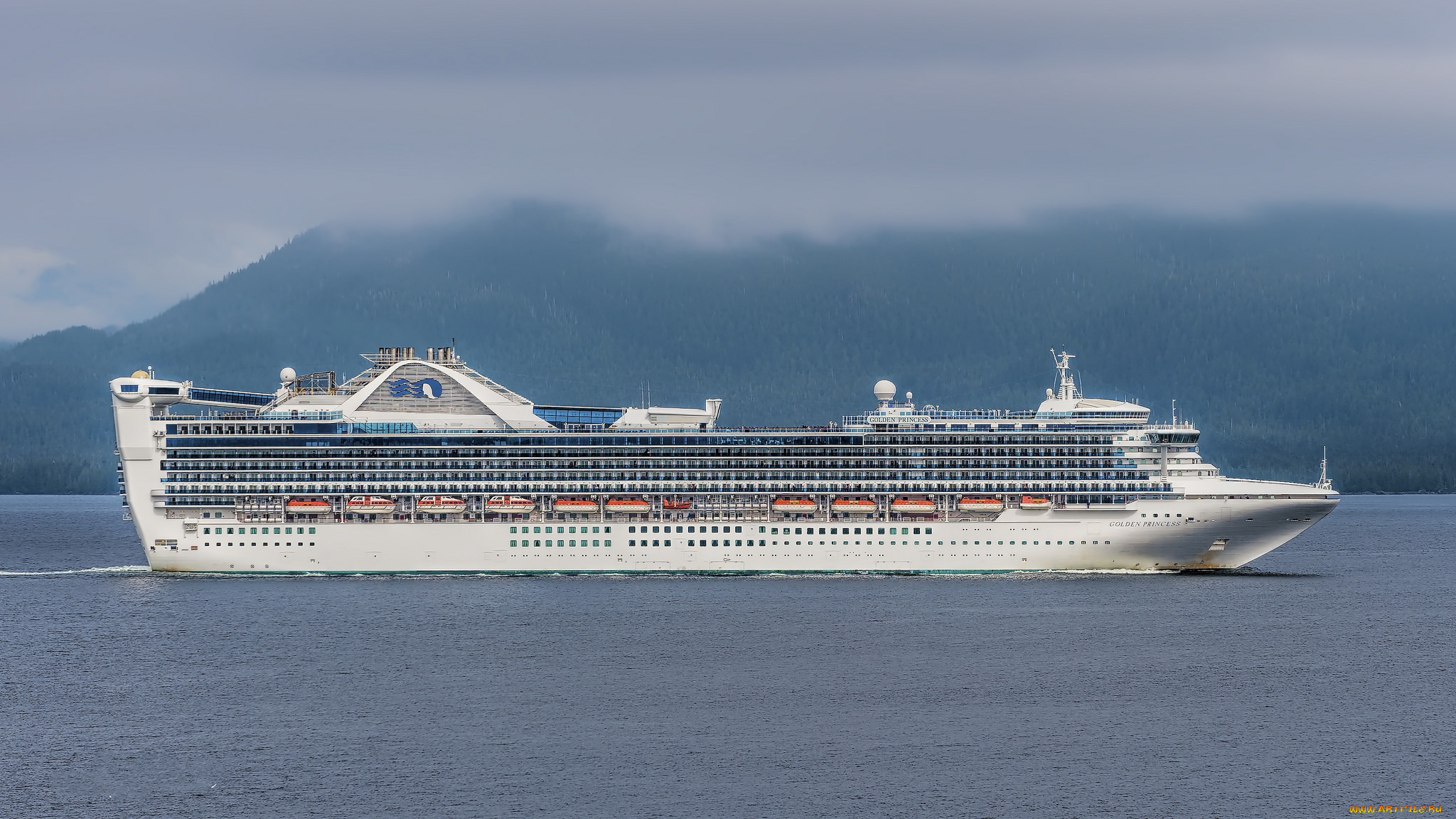 golden, princess, корабли, лайнеры, лайнер, круизный