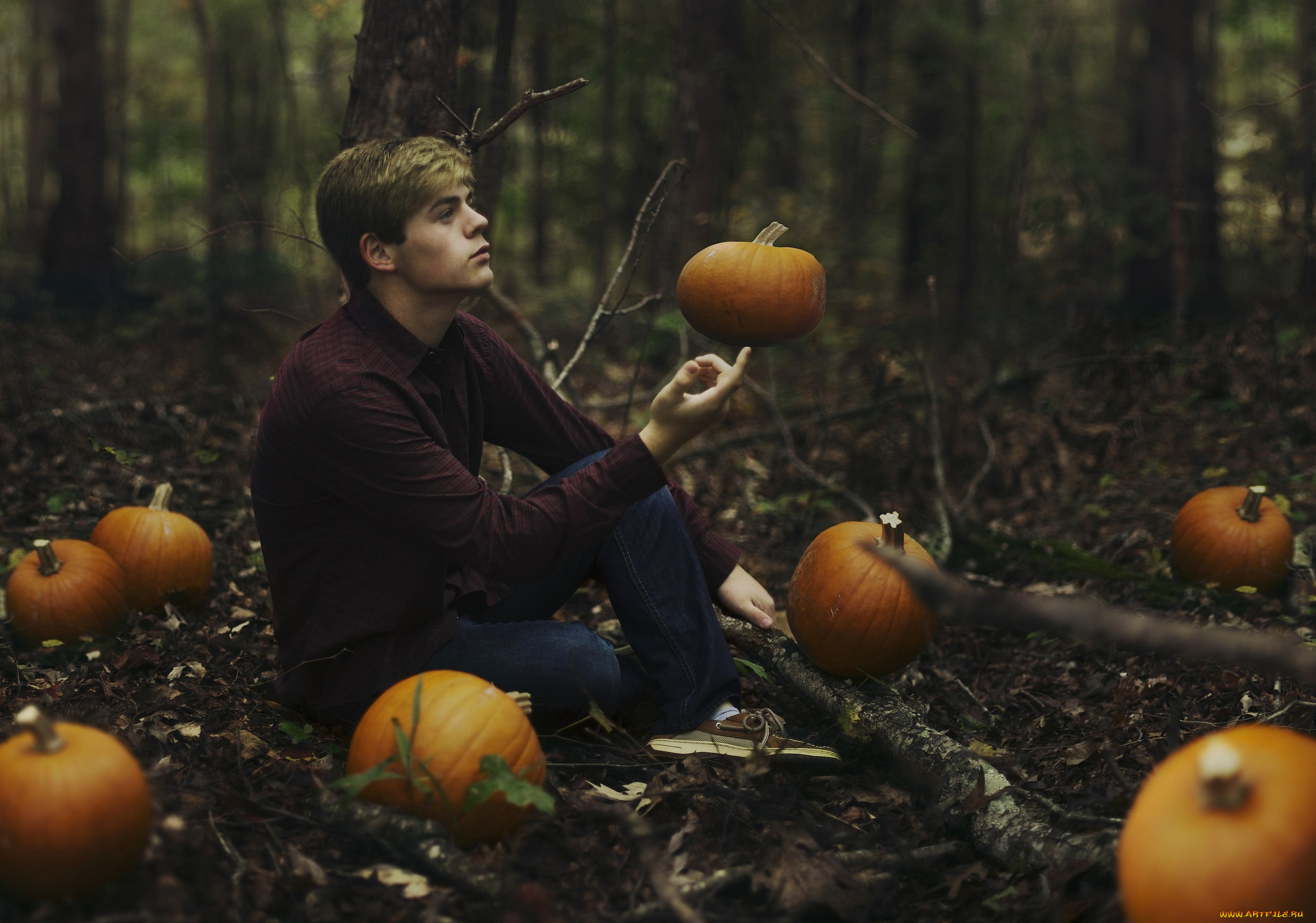 мужчины, -, unsort, тыквы, парень, сидит, лес