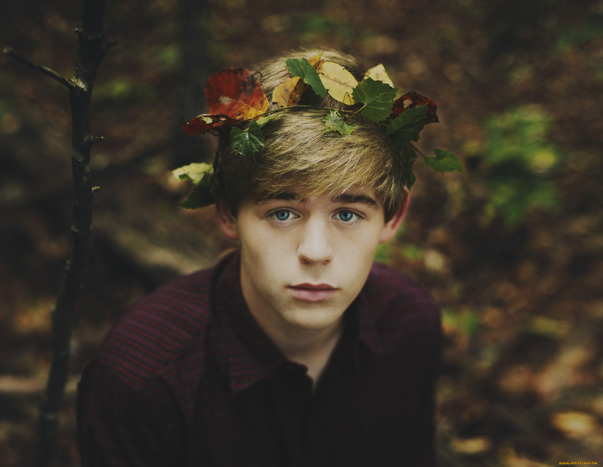 мужчины, -, unsort, венок, парень, взгляд