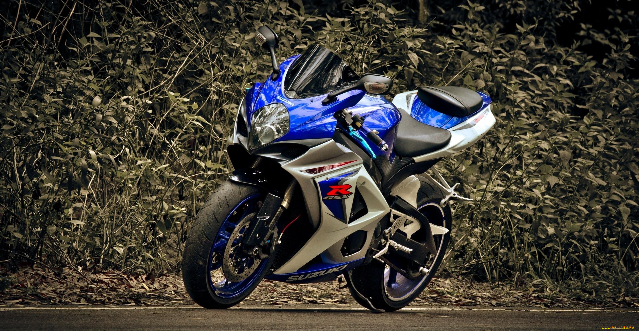 suzuki, мотоциклы