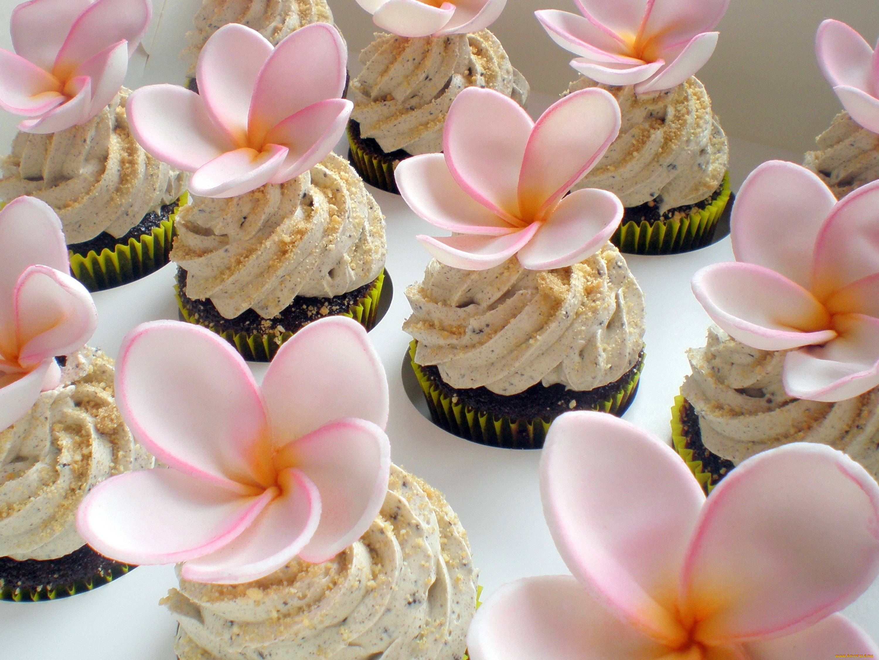 еда, пирожные, , кексы, , печенье, капкейки