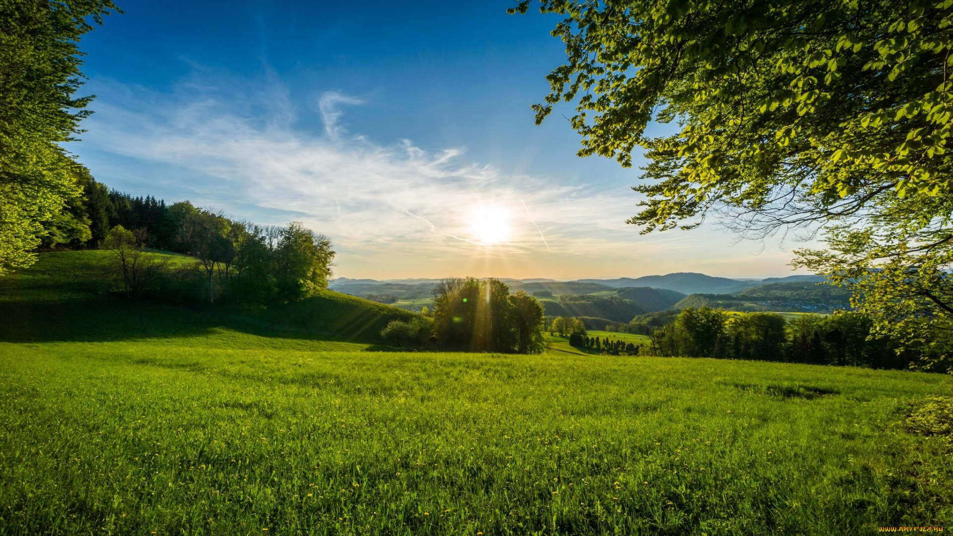 природа, пейзажи, трава, деревья, небо, утро, солнце