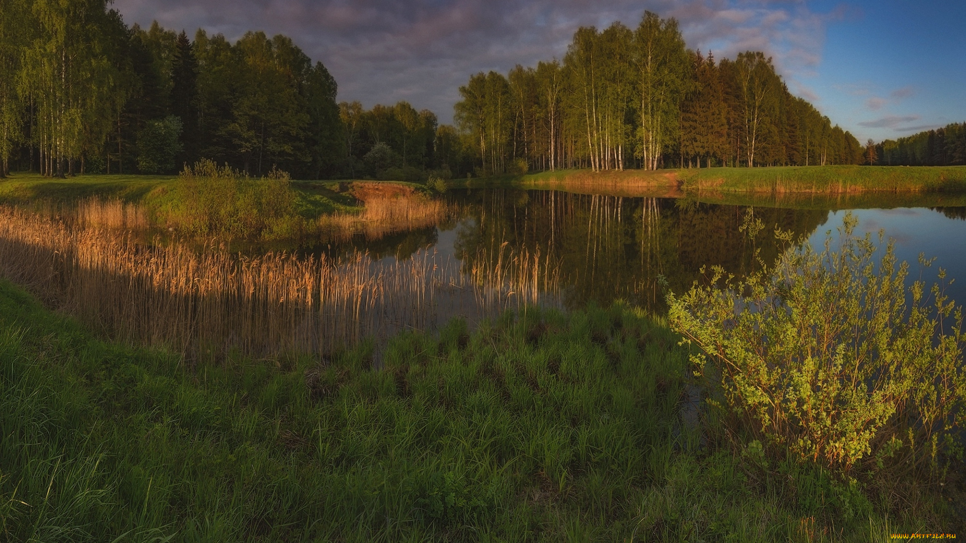 природа, реки, озера, лес, озеро