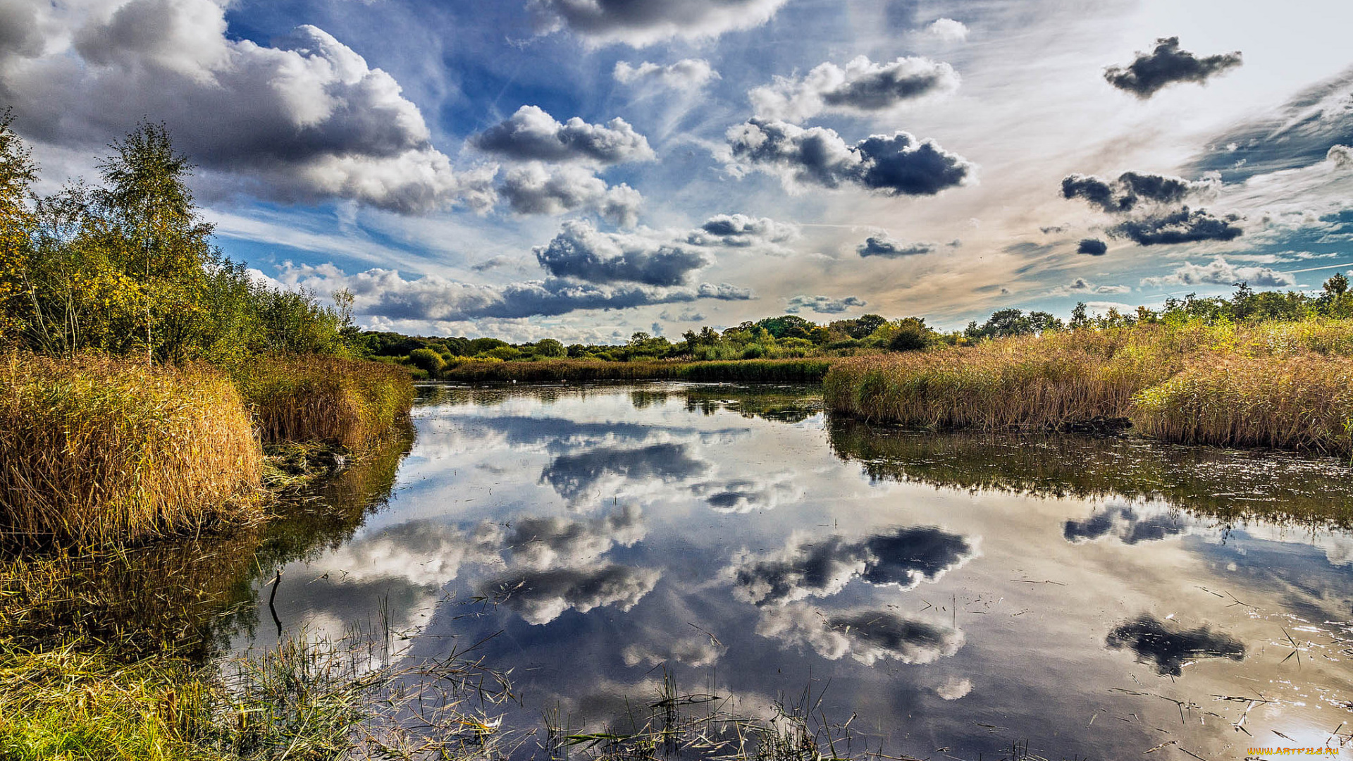 природа, реки, озера, лес, река