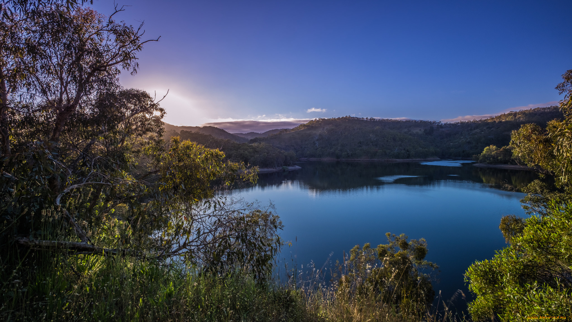 природа, реки, озера, лес, река