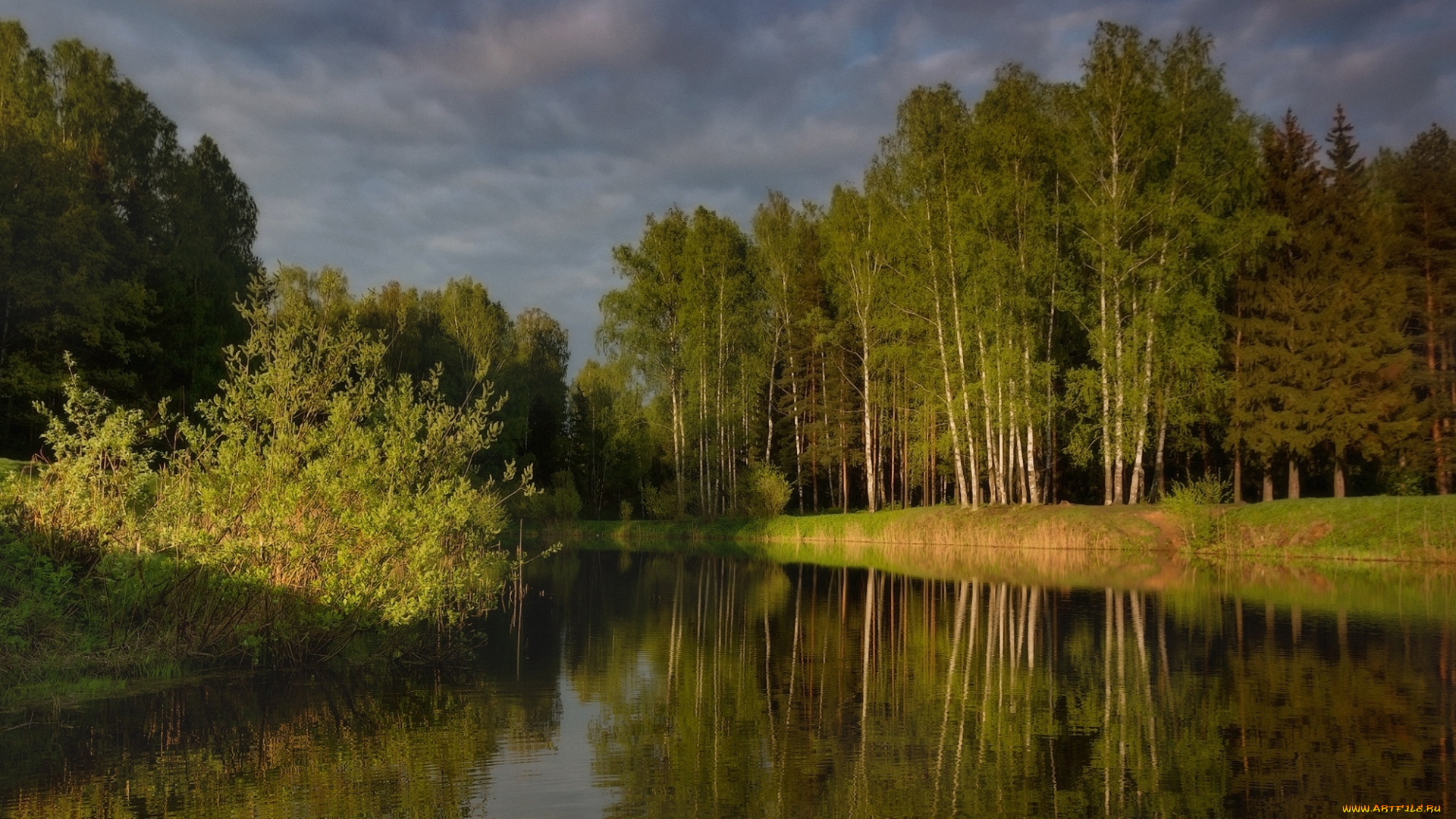 природа, реки, озера, озеро, лес