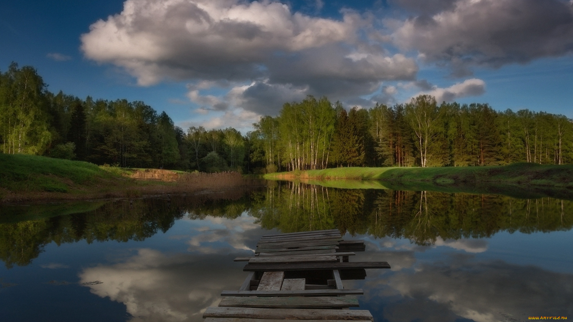 природа, реки, озера, озеро, лес