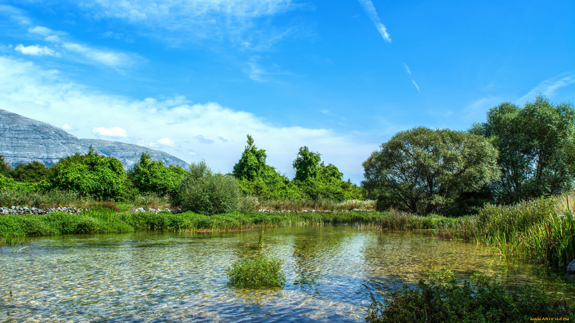 природа, реки, озера, река, лес