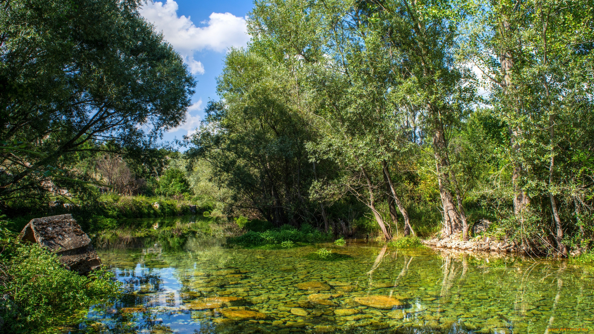 природа, реки, озера, река, лес