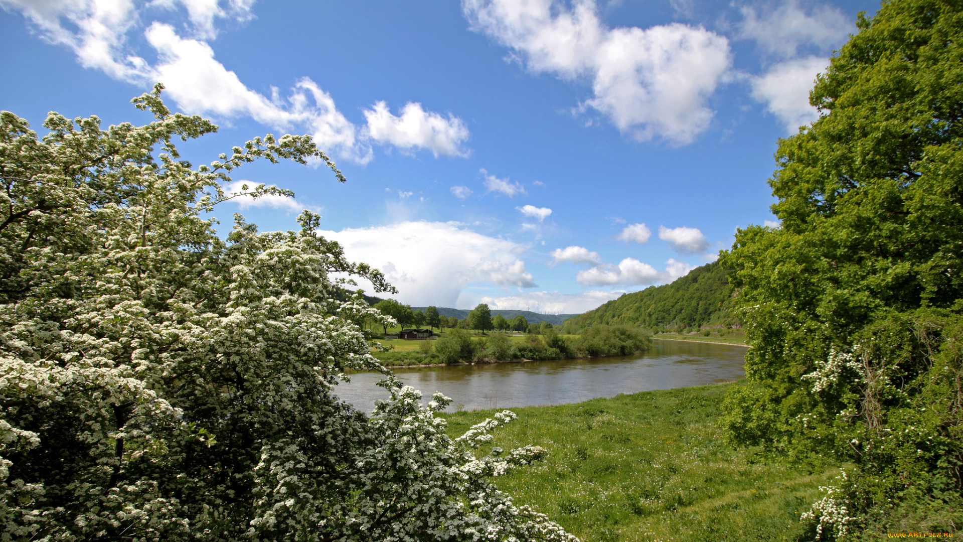 природа, реки, озера, река, лес