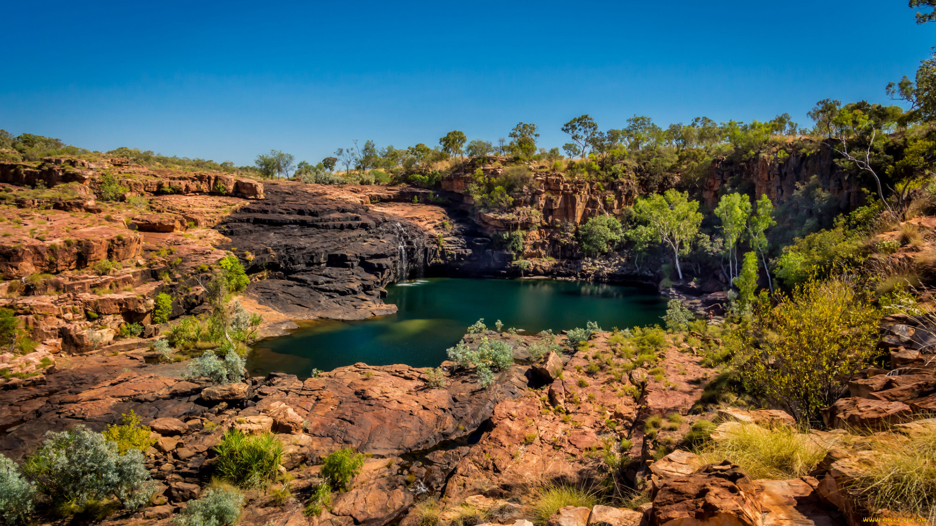природа, реки, озера, река, лес