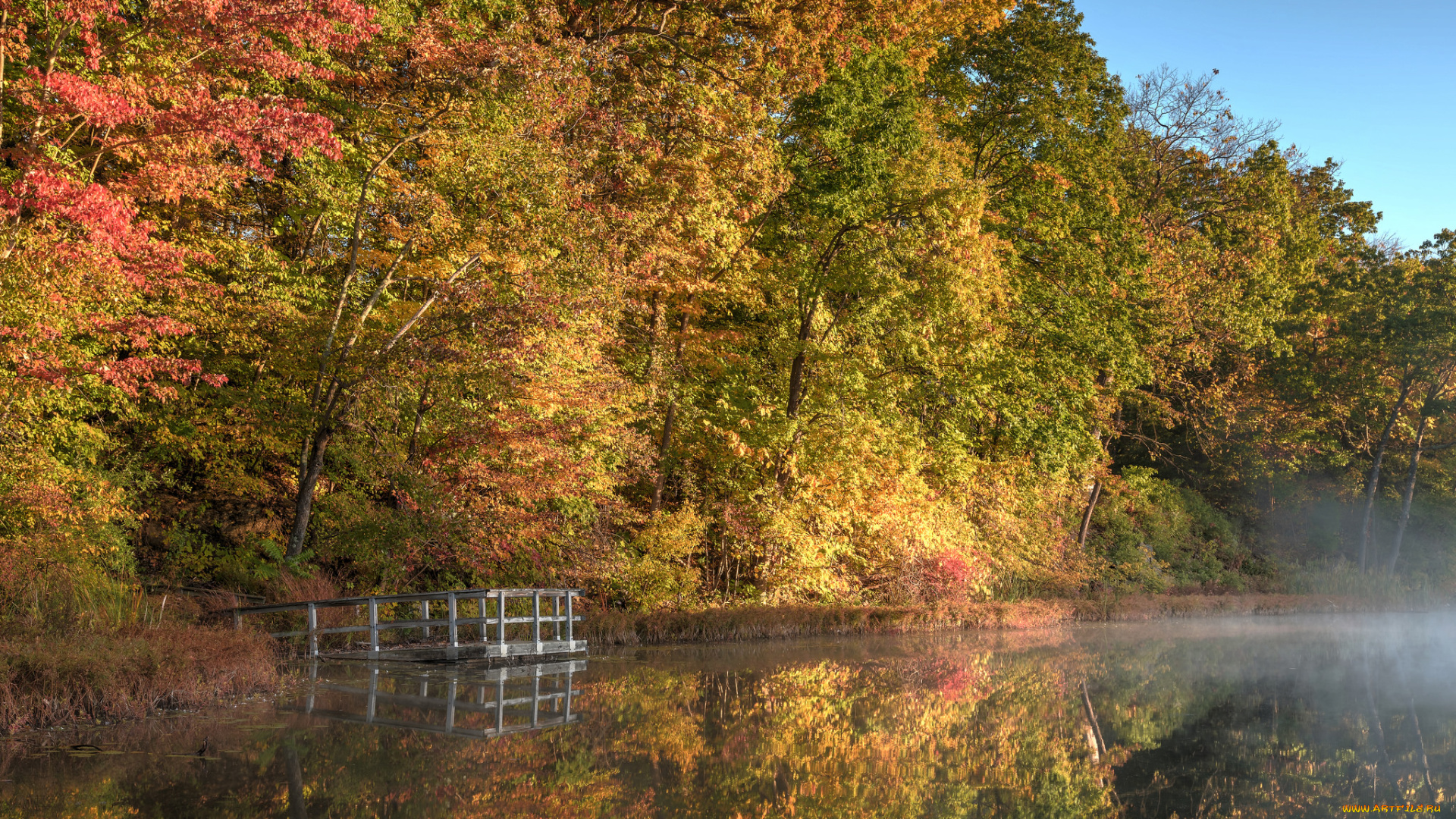 природа, реки, озера, река, лес