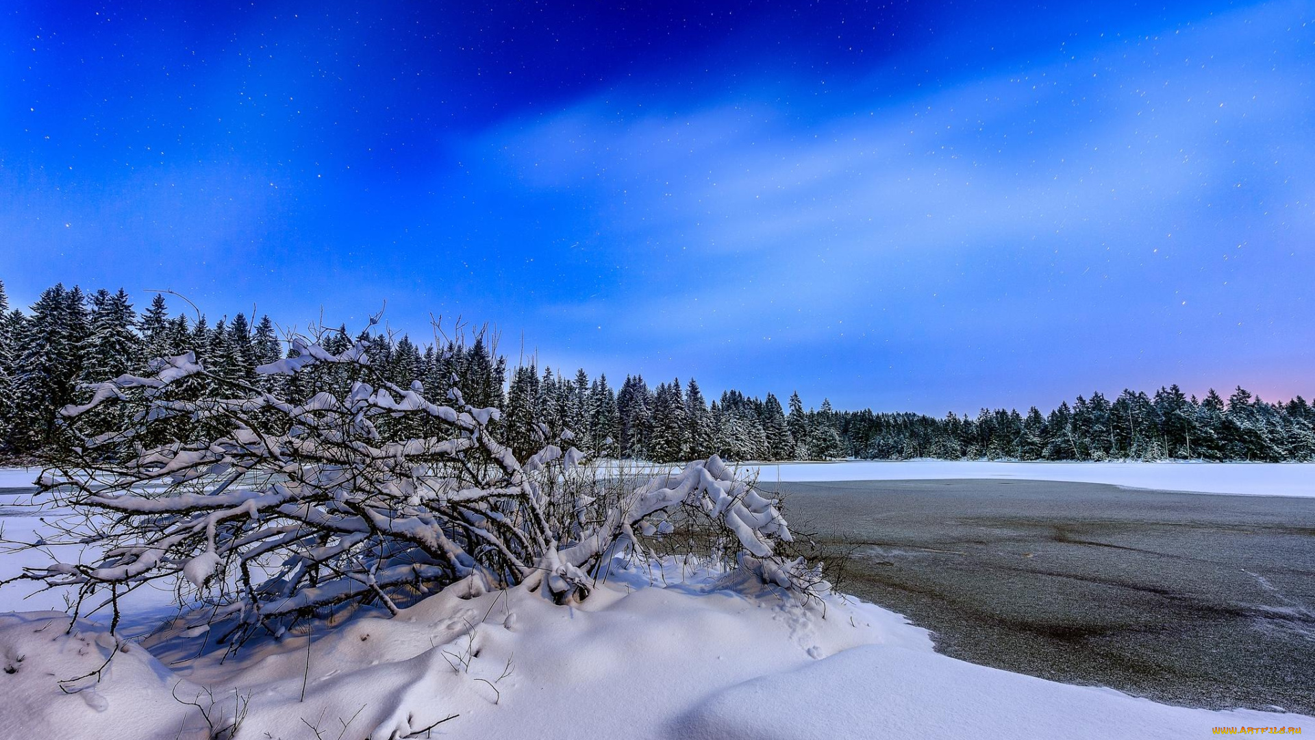 природа, зима, пейзаж, деревья, озеро