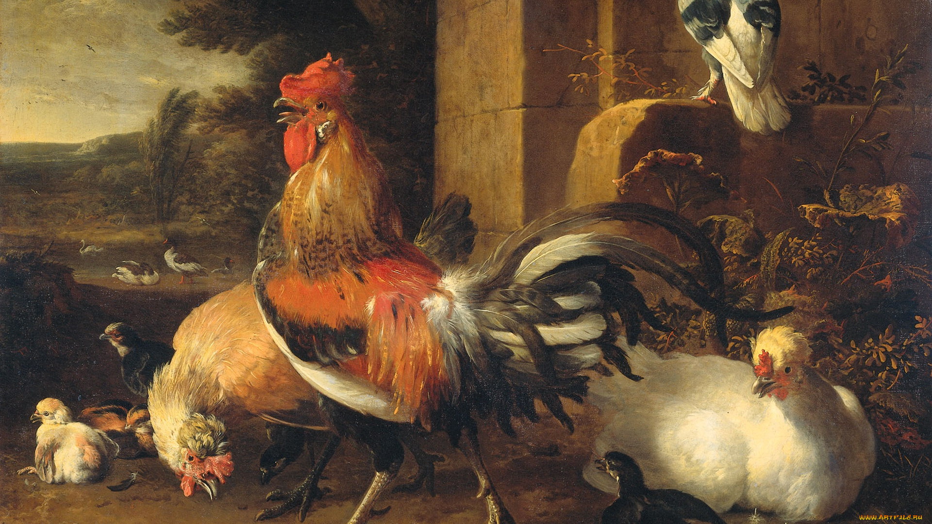 рисованное, живопись, животные, петух, мельхиор, де, хондекутер, картина, скотный, двор