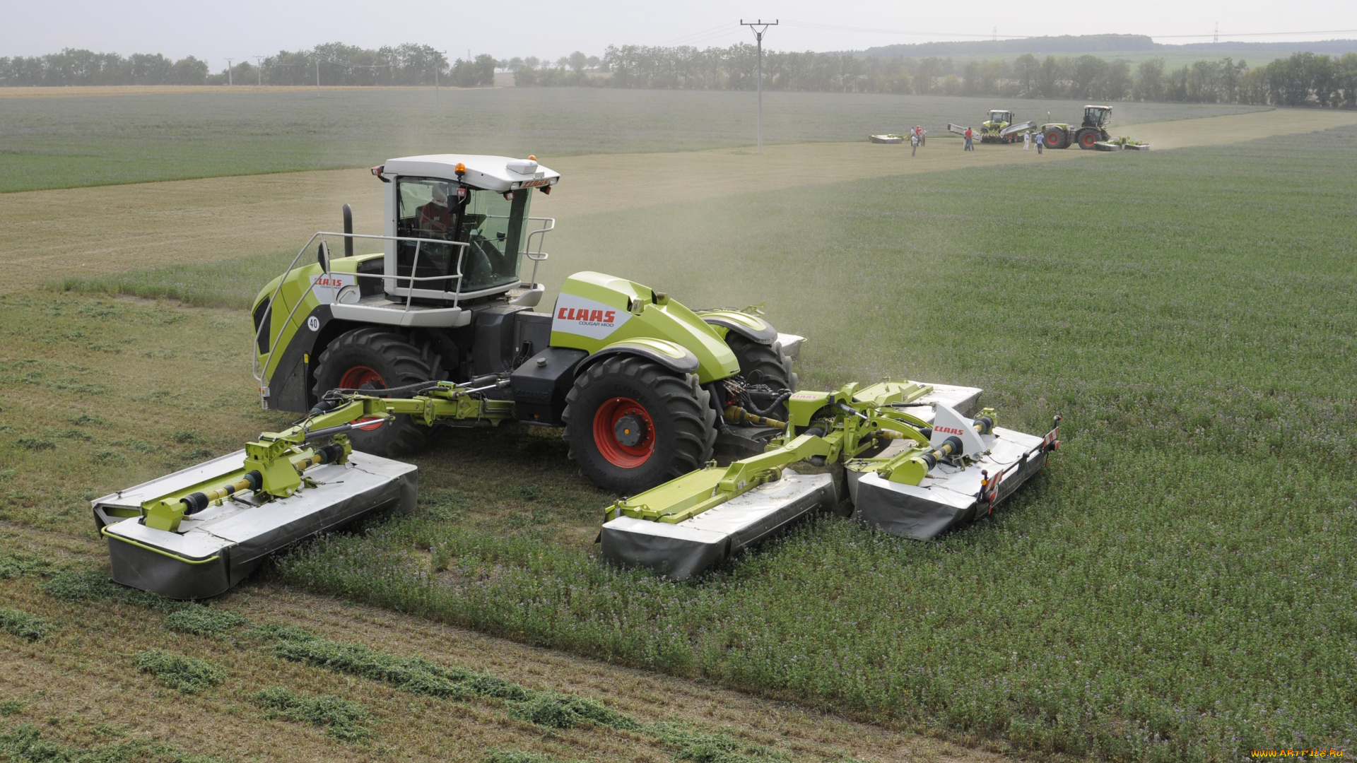 техника, тракторы, claas