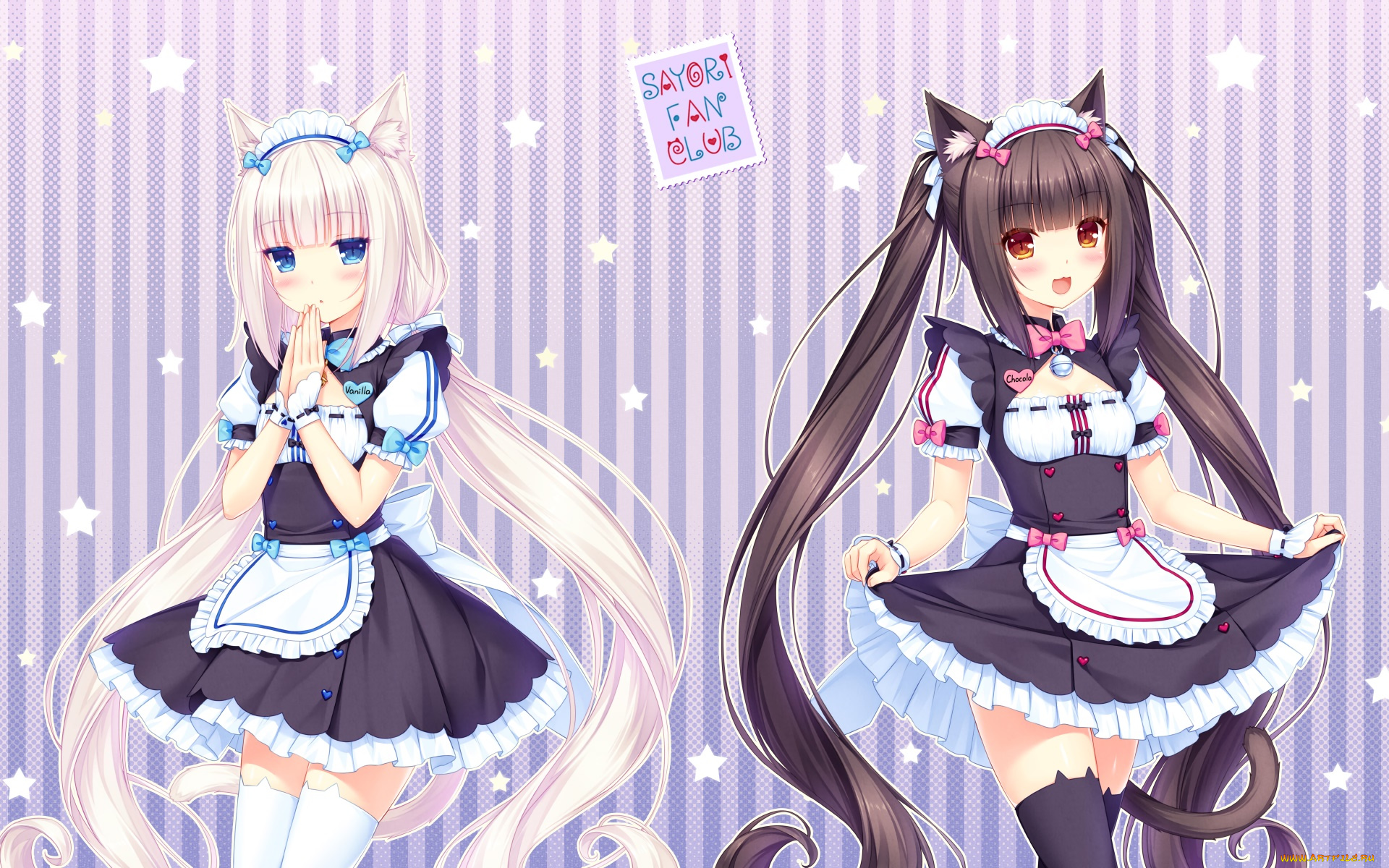 аниме, nekopara, фон, взгляд, девушки