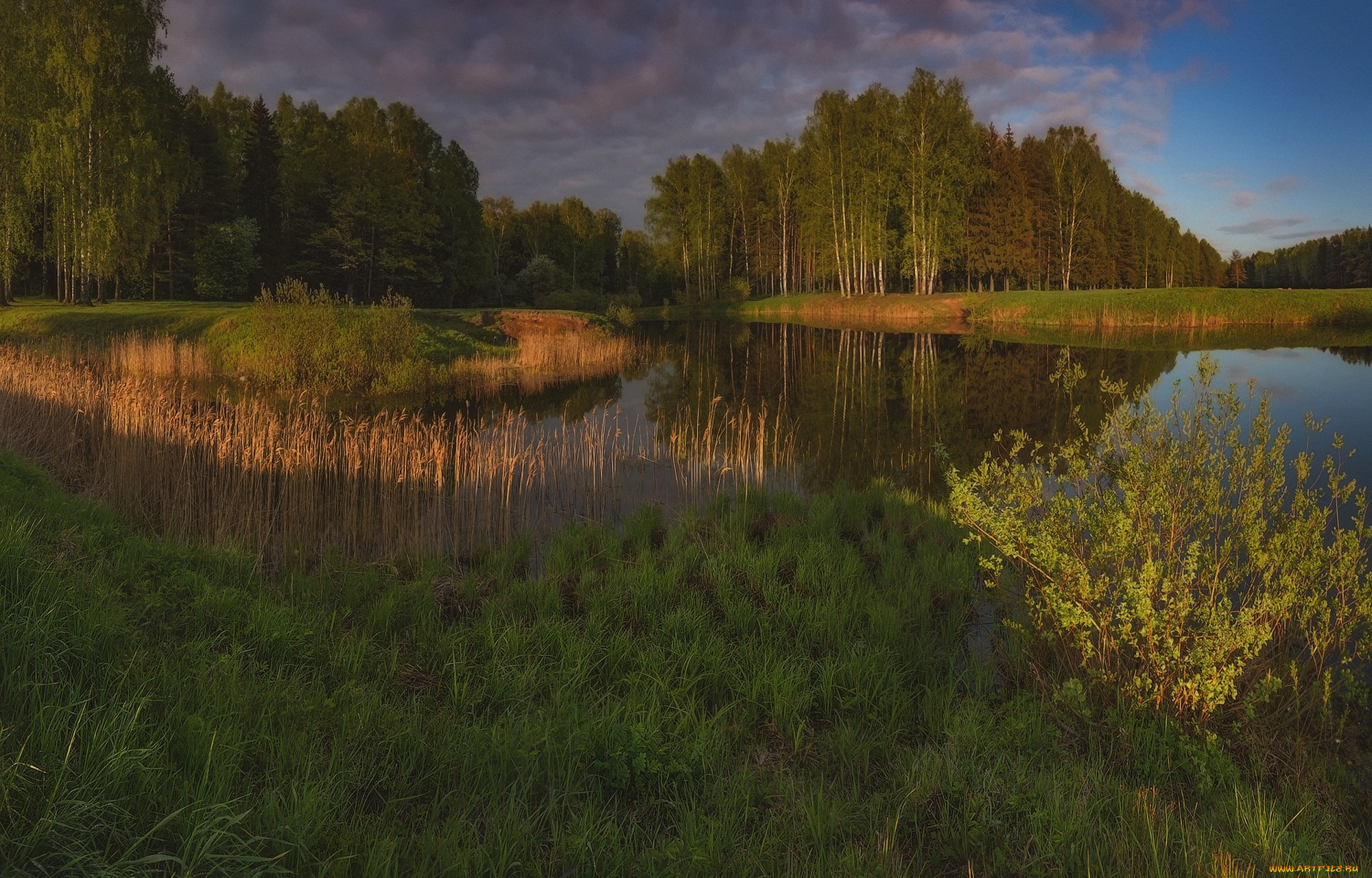 природа, реки, озера, лес, озеро