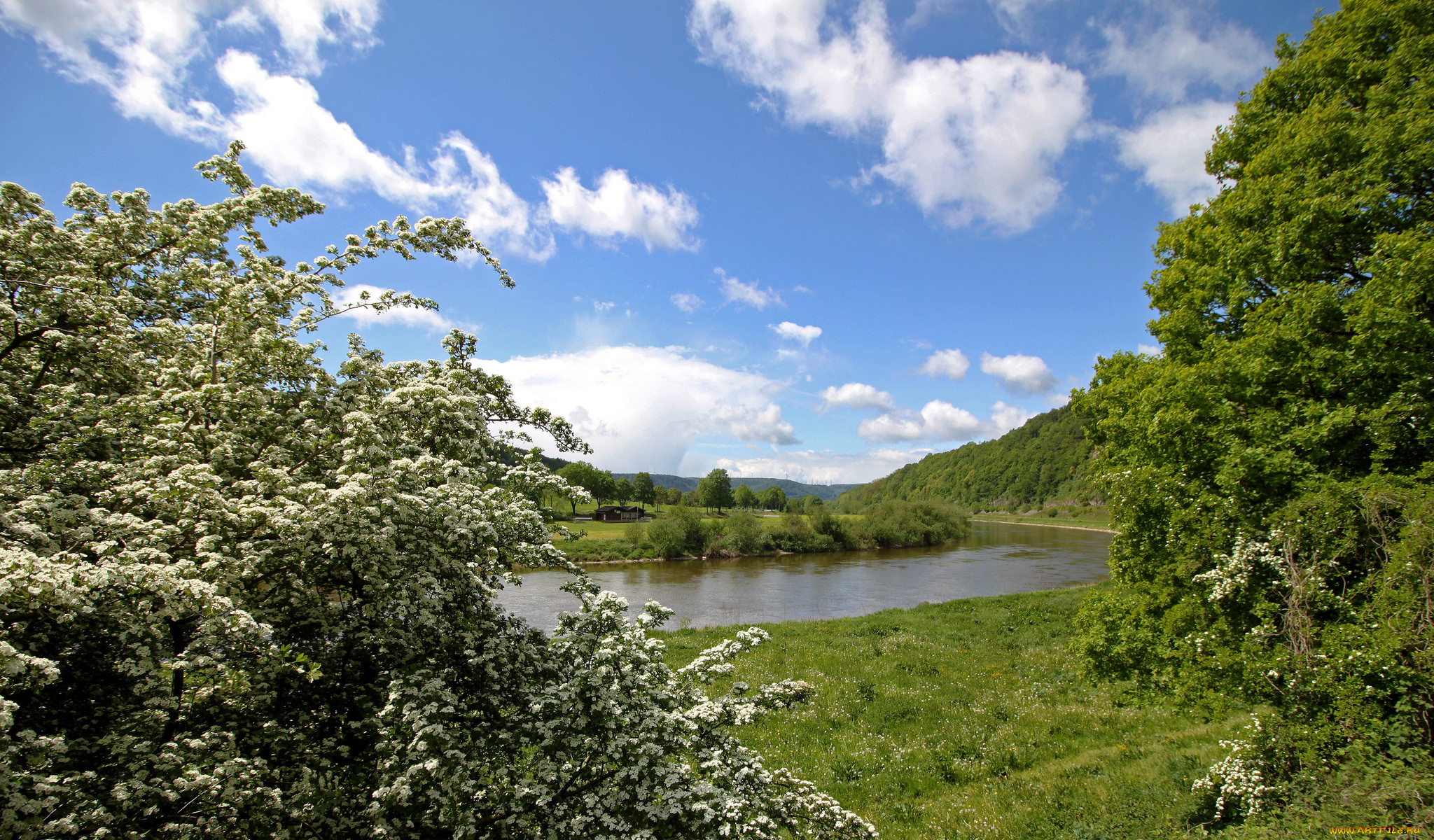 природа, реки, озера, река, лес