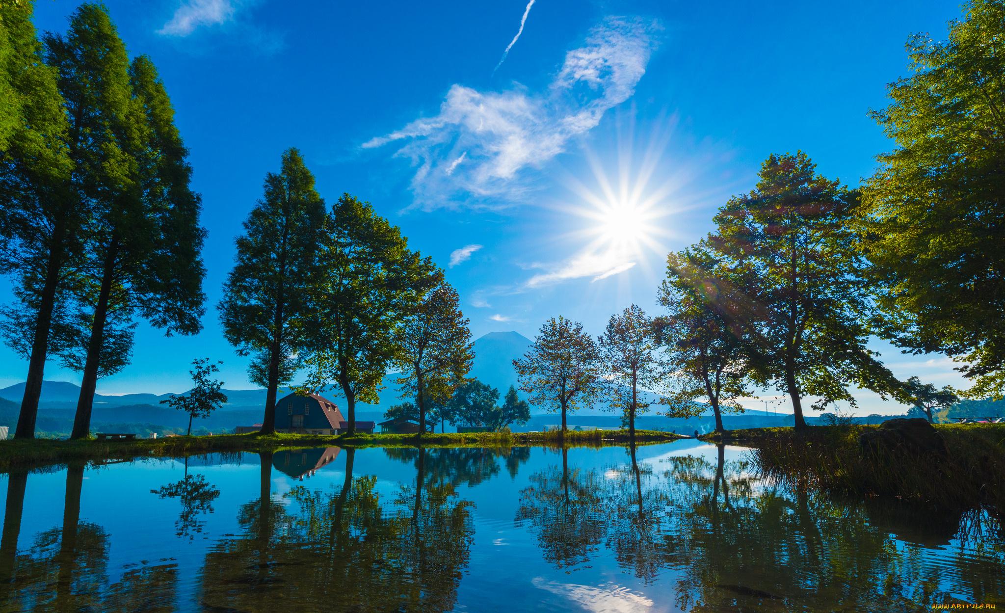 природа, реки, озера, лес, река