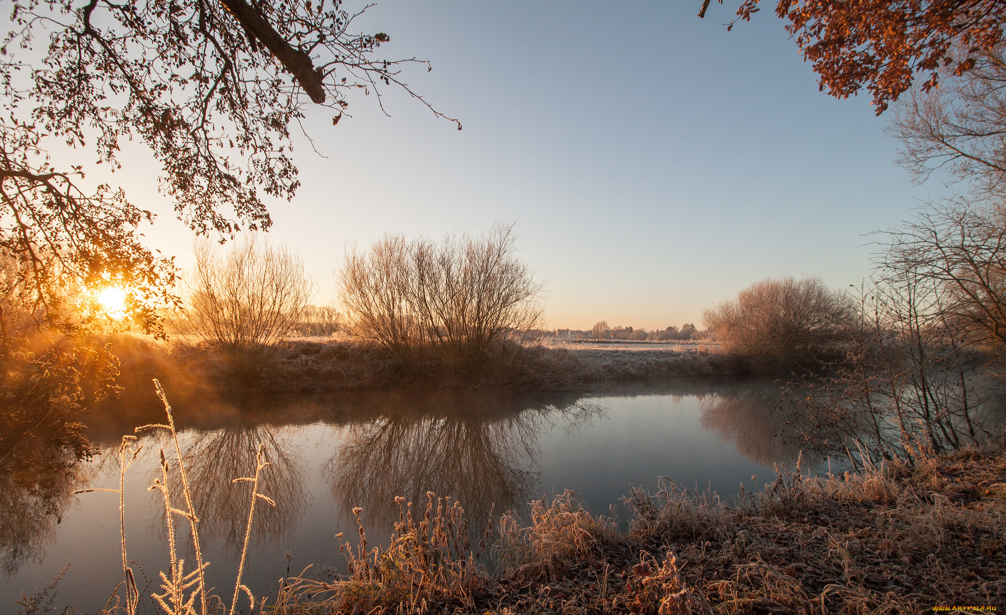 природа, реки, озера, река, лес