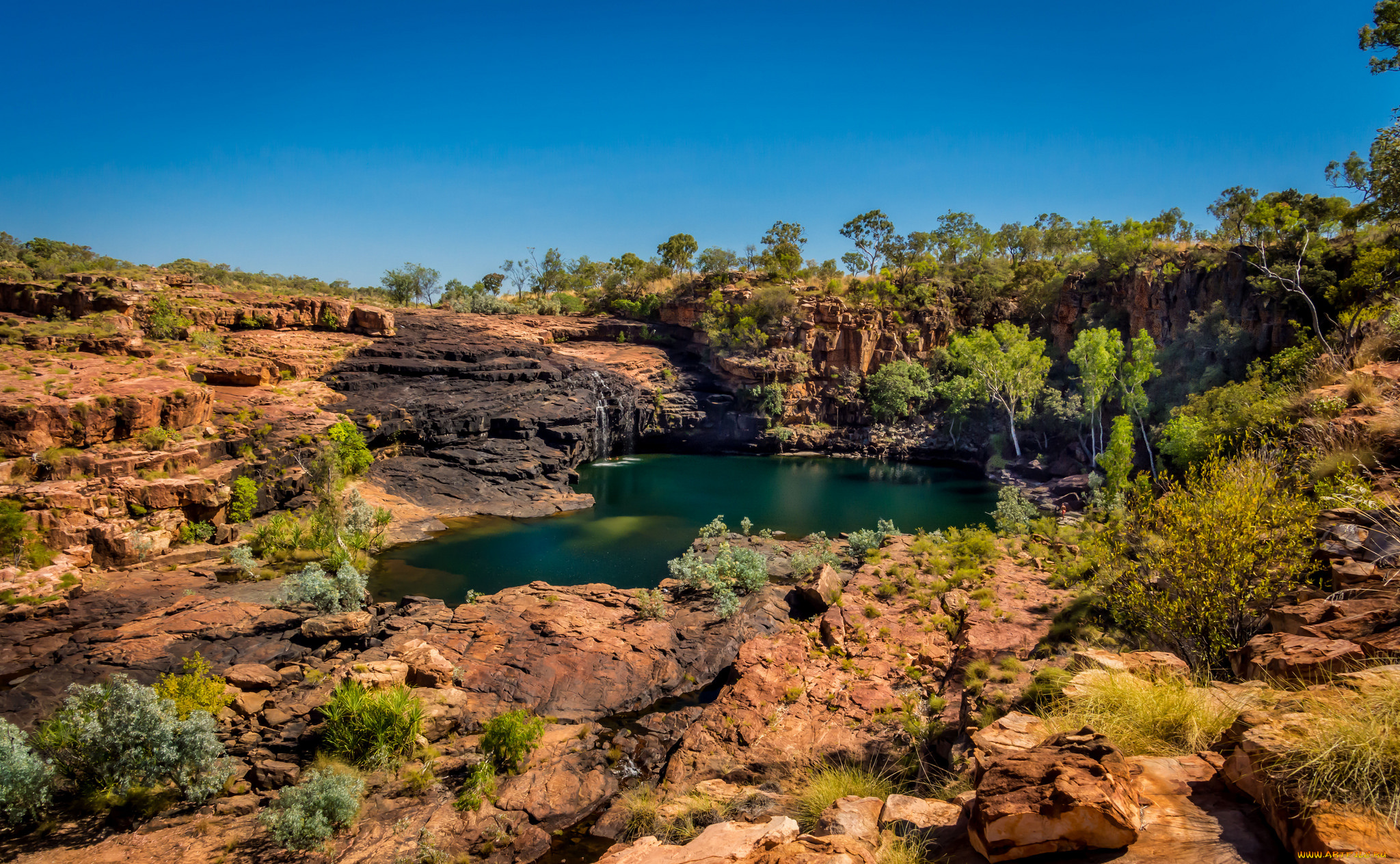 природа, реки, озера, река, лес